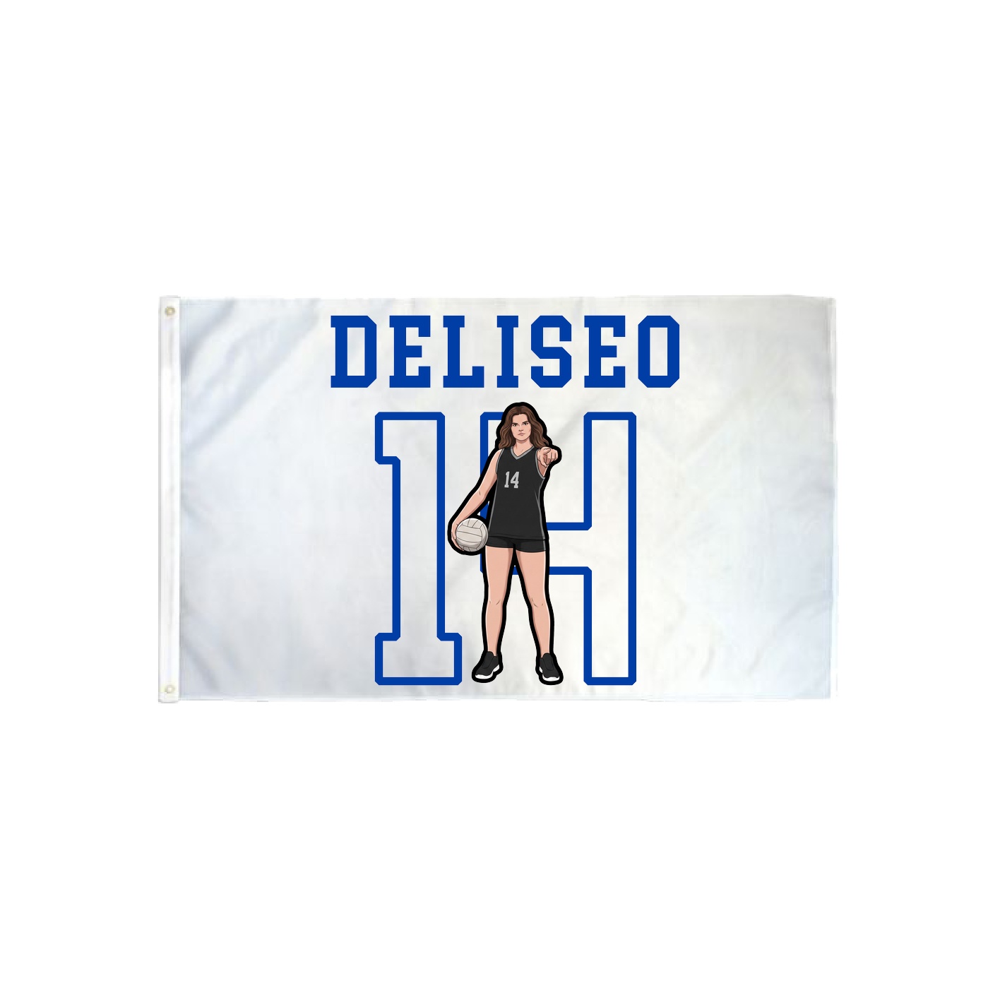 3x5 Flag — Shirsey in Classic