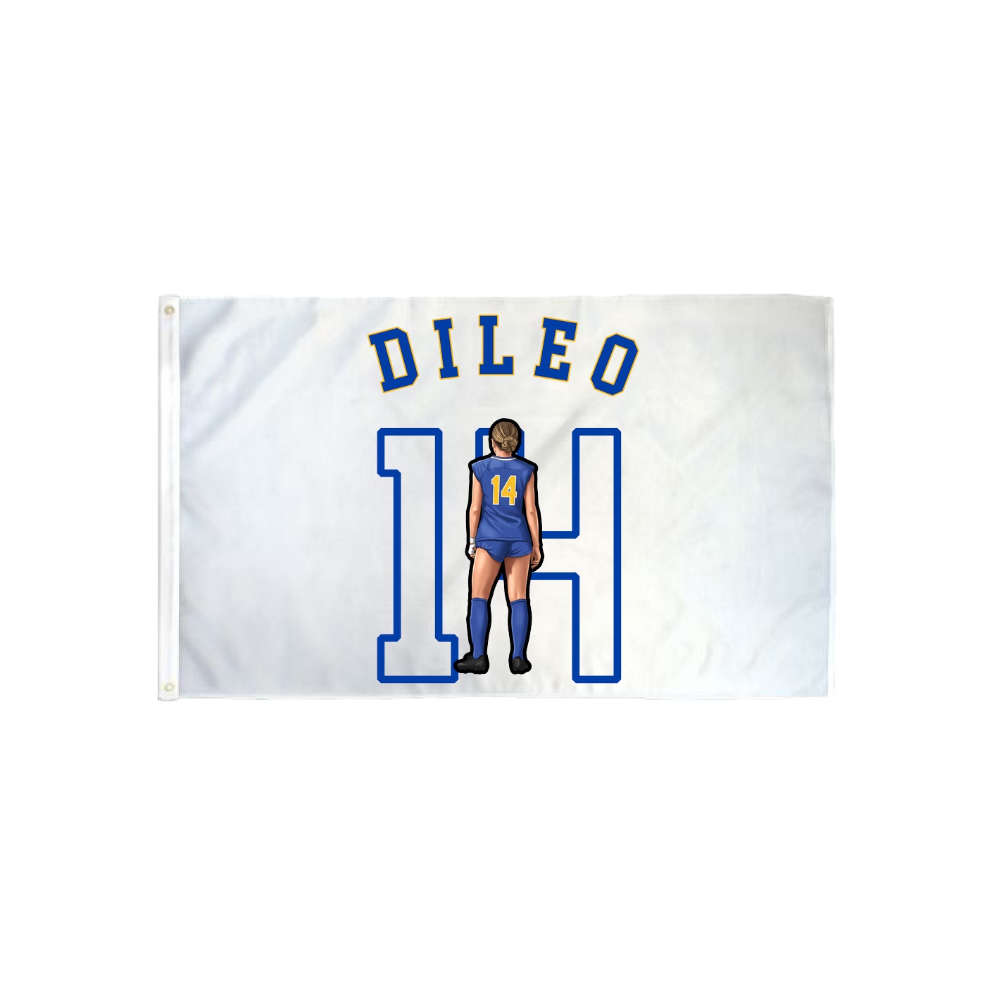 3x5 Flag — Shirsey Arch in Classic