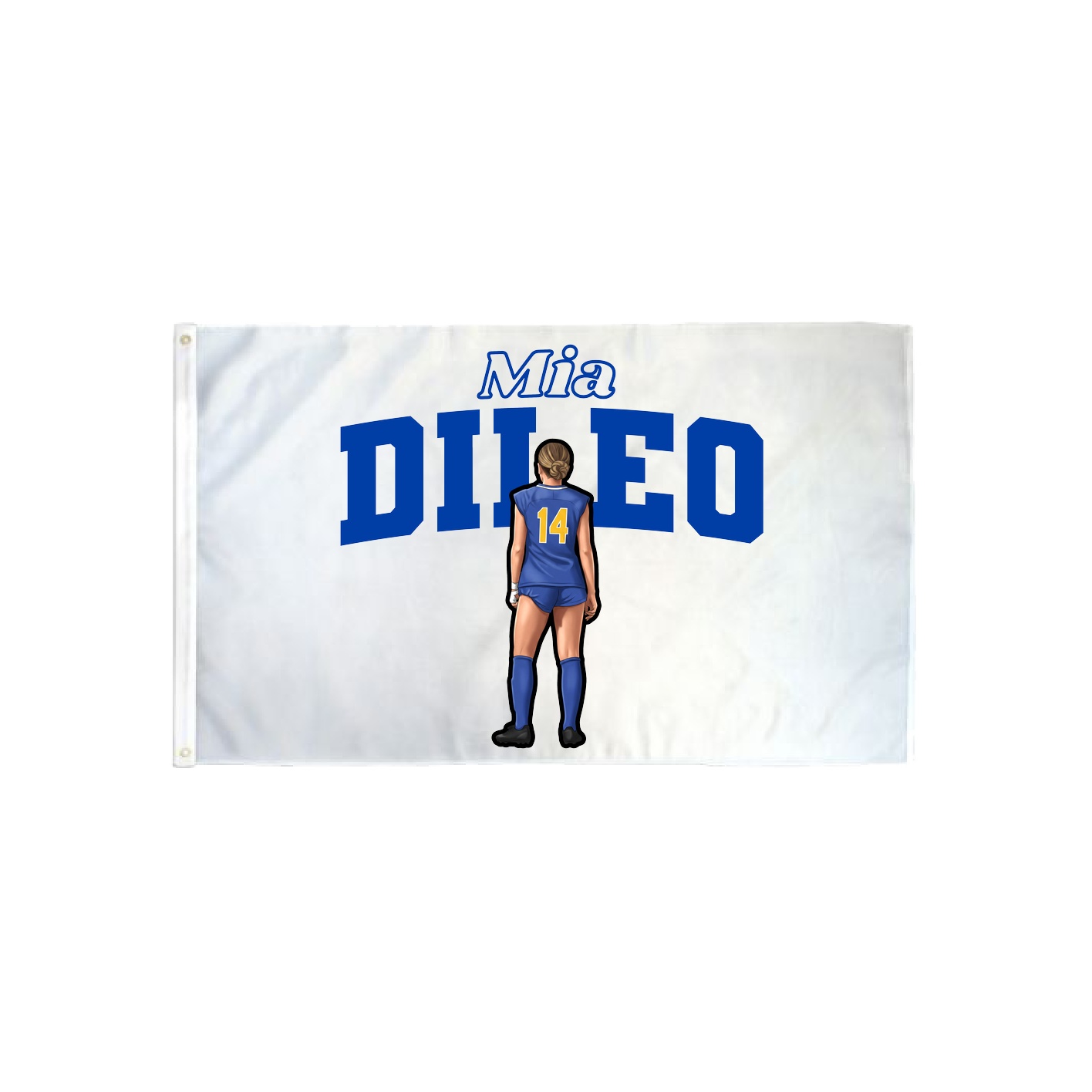 3x5 Flag — Name Arch in Classic