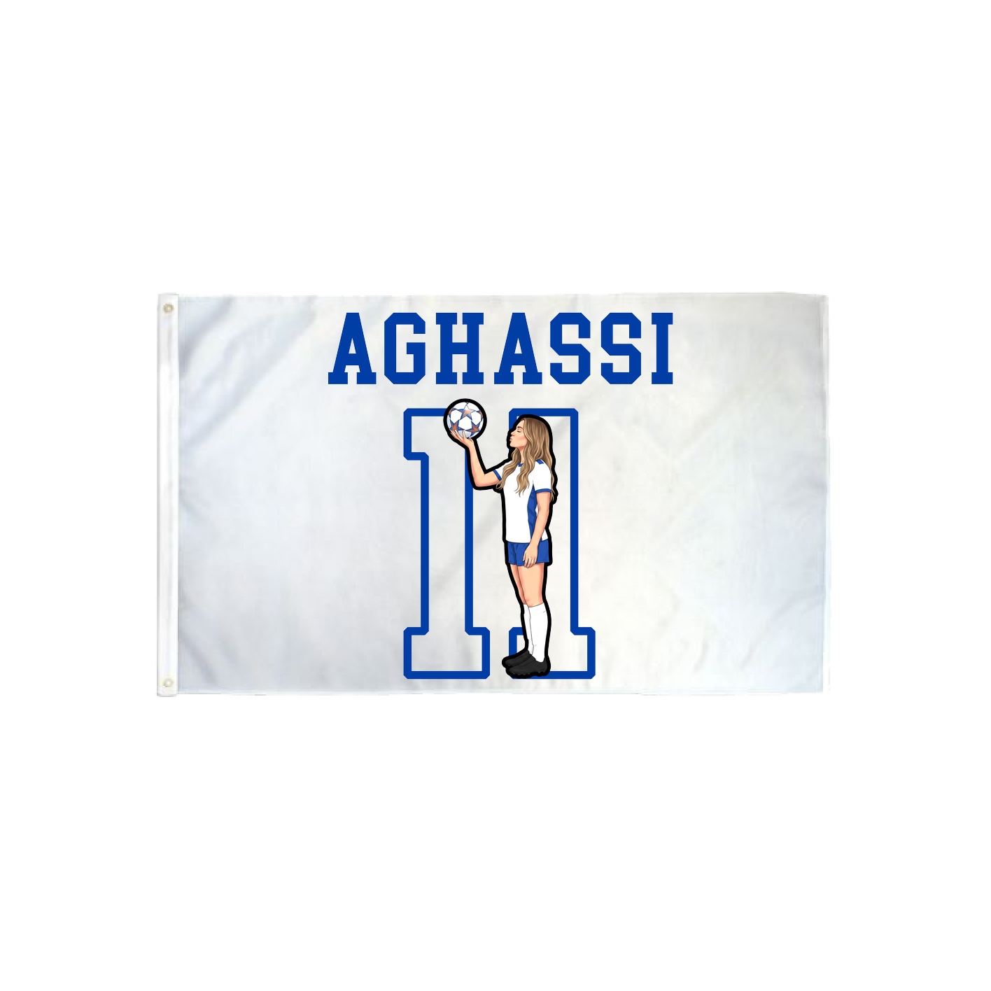 3x5 Flag — Shirsey in Classic