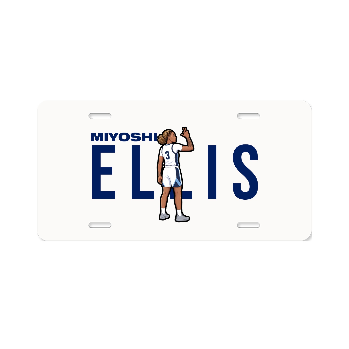License Plate