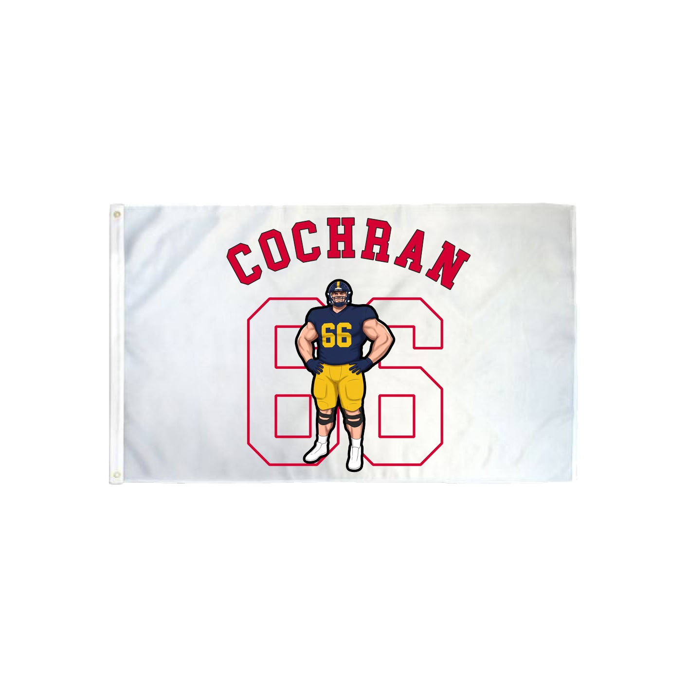 3x5 Flag — Shirsey Arch in Classic