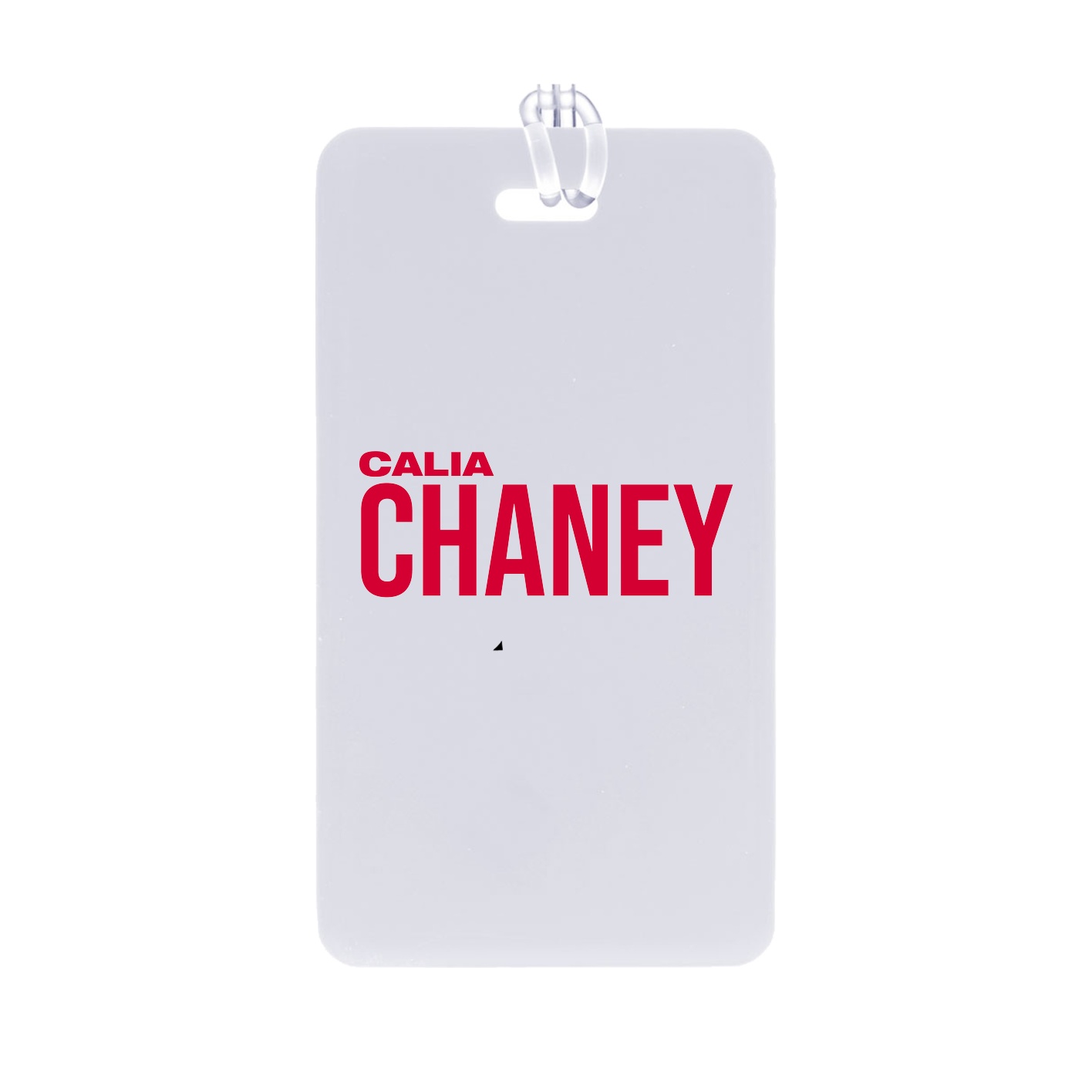Bag Tag — Player Name in Classic