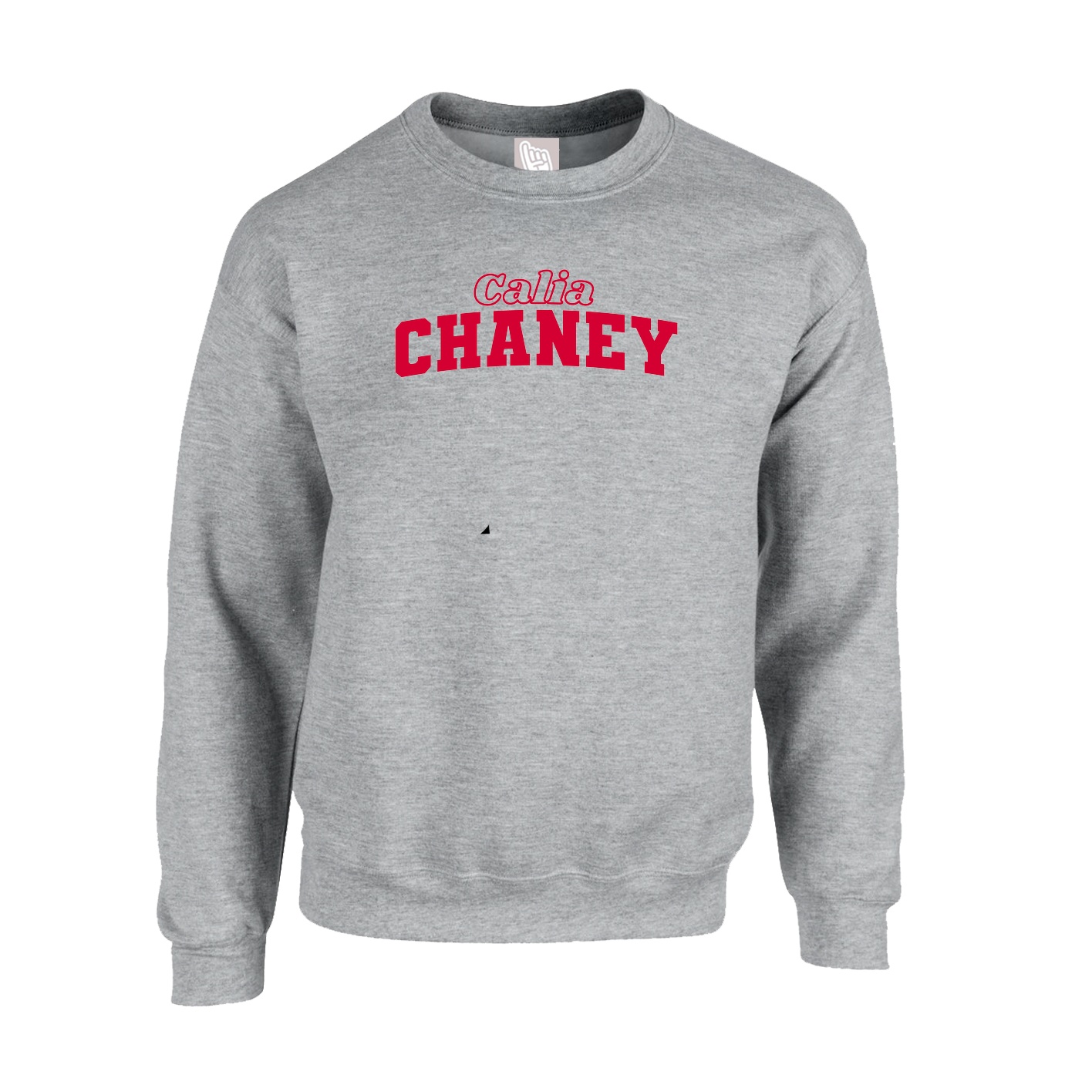 Fleece Crew — Name Arch in Grey