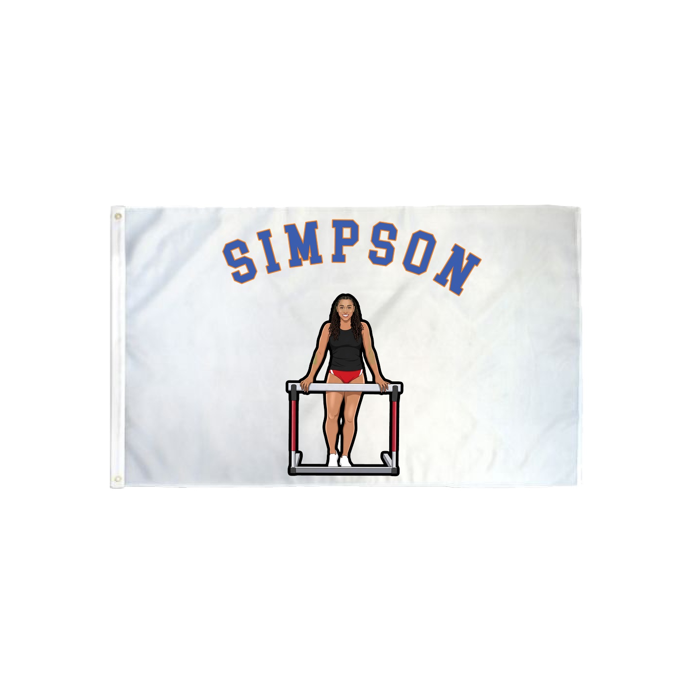 3x5 Flag — Shirsey Arch in Classic