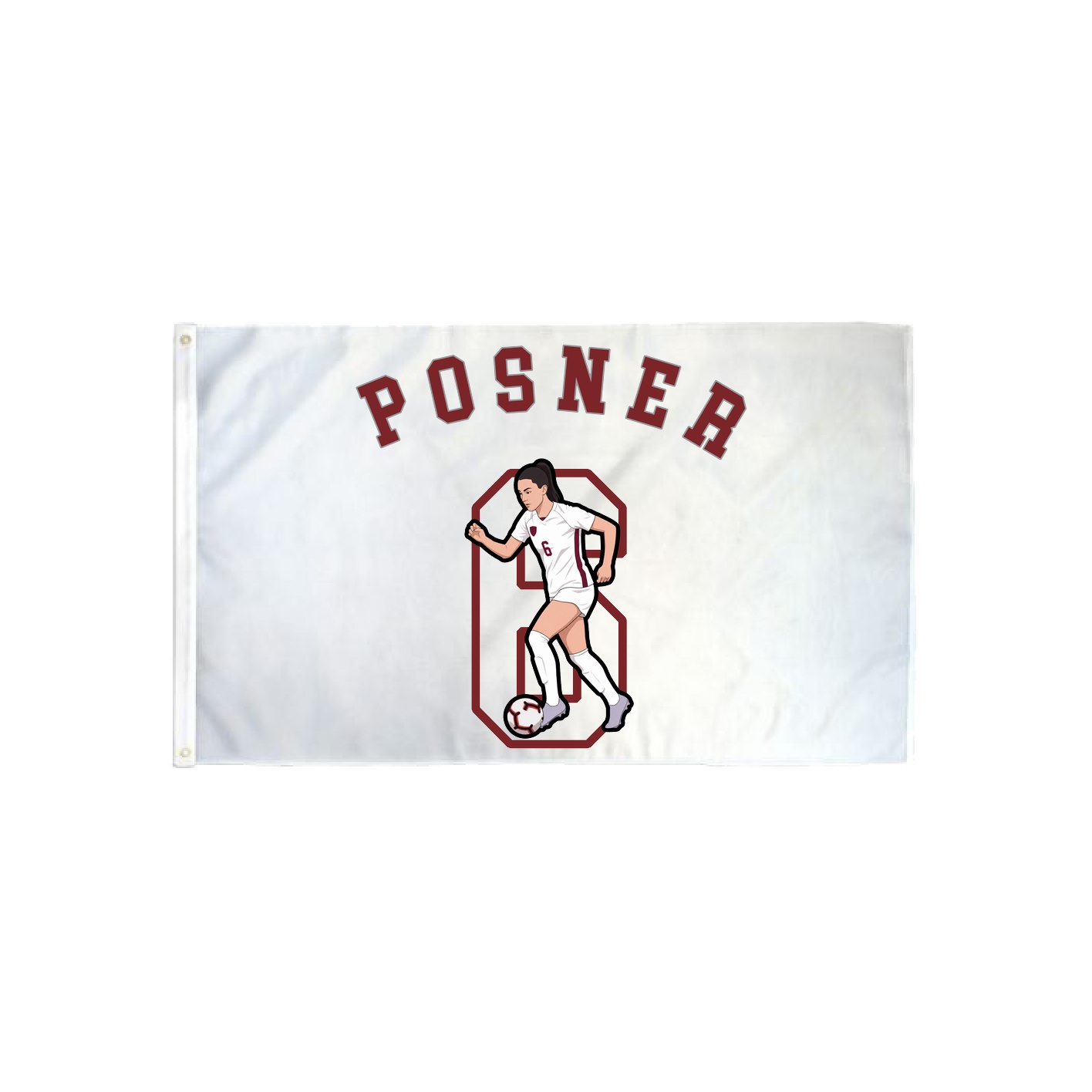 3x5 Flag — Shirsey Arch in Classic
