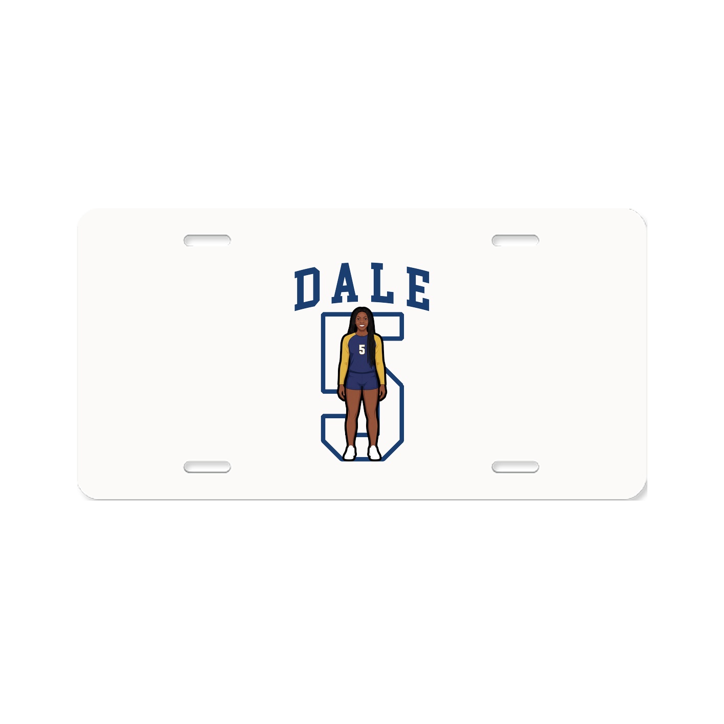 Aluminum License Plate
