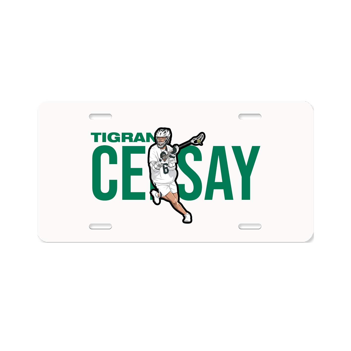 License Plate