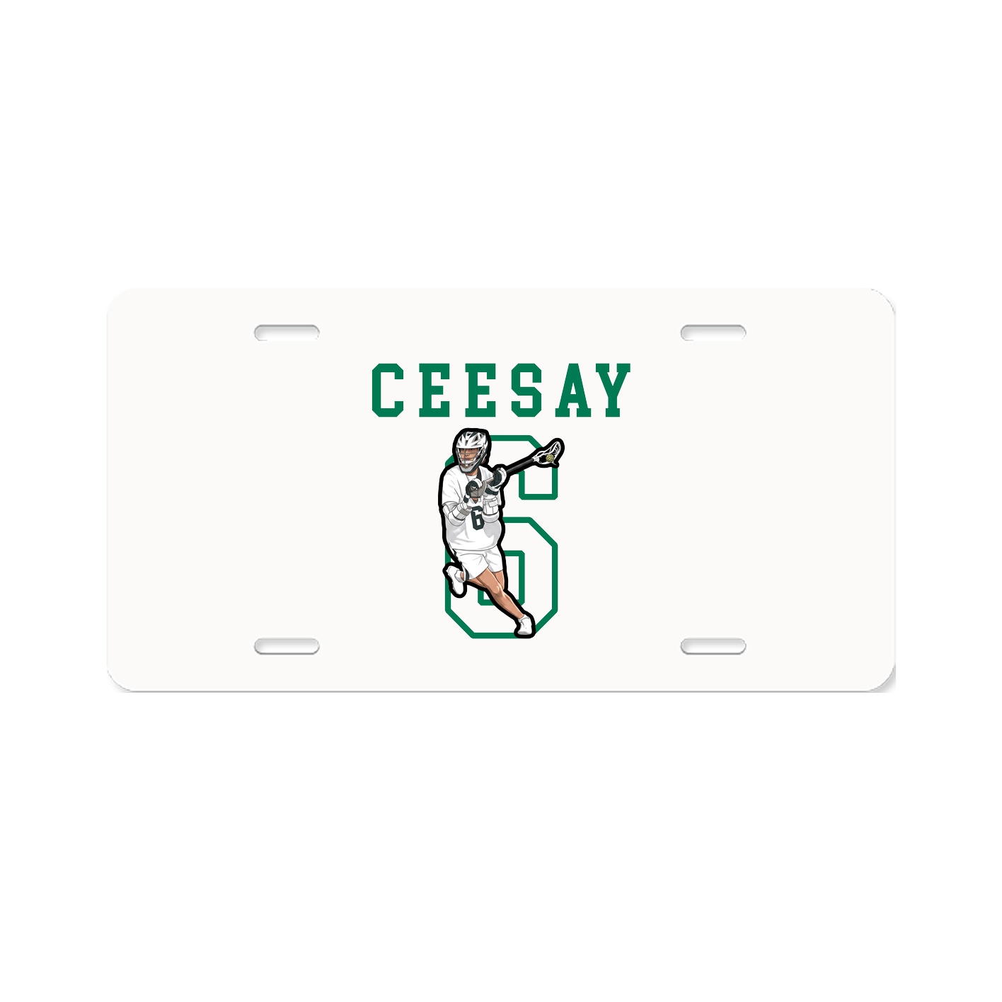 Aluminum License Plate