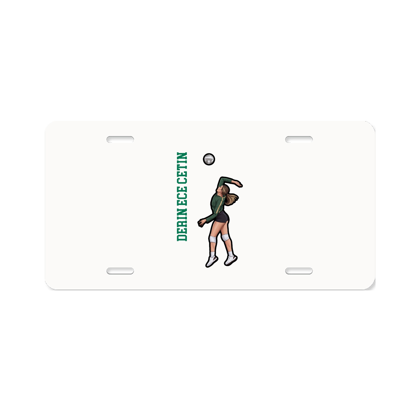 License Plate