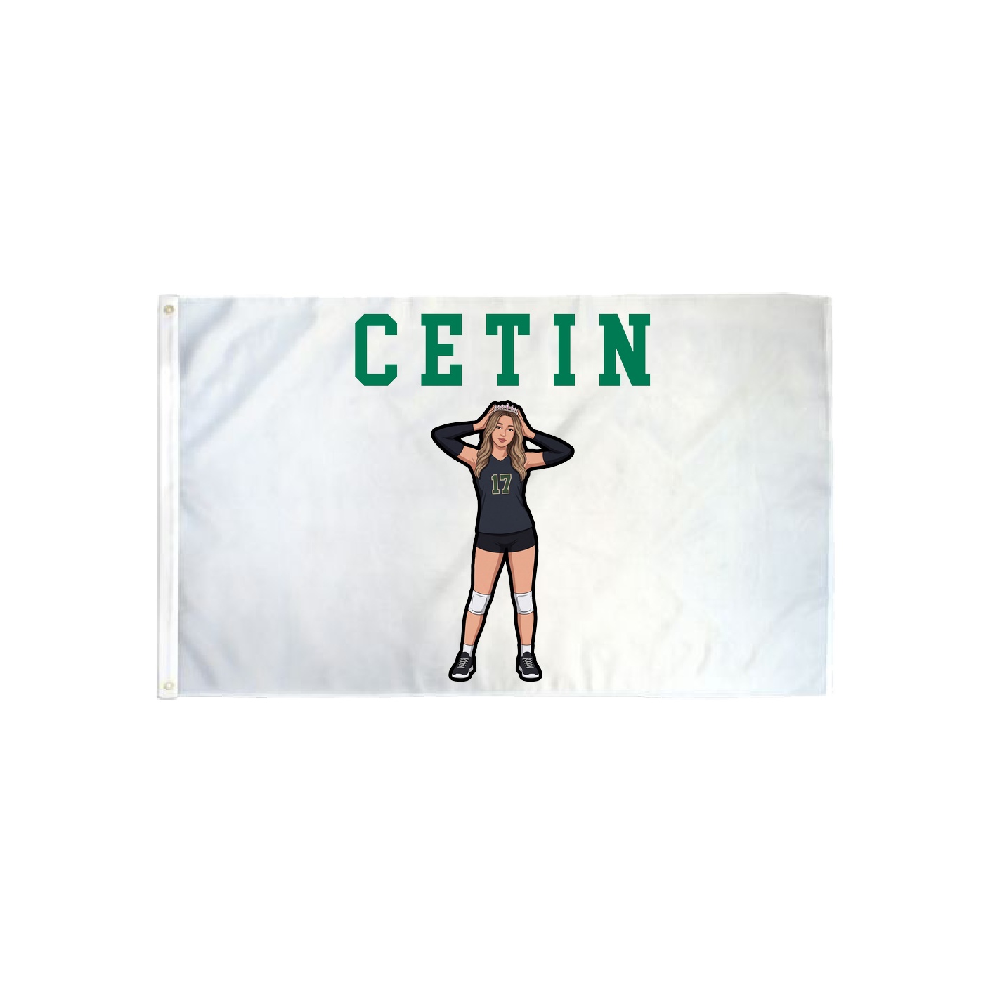 3x5 Flag — Shirsey in Classic