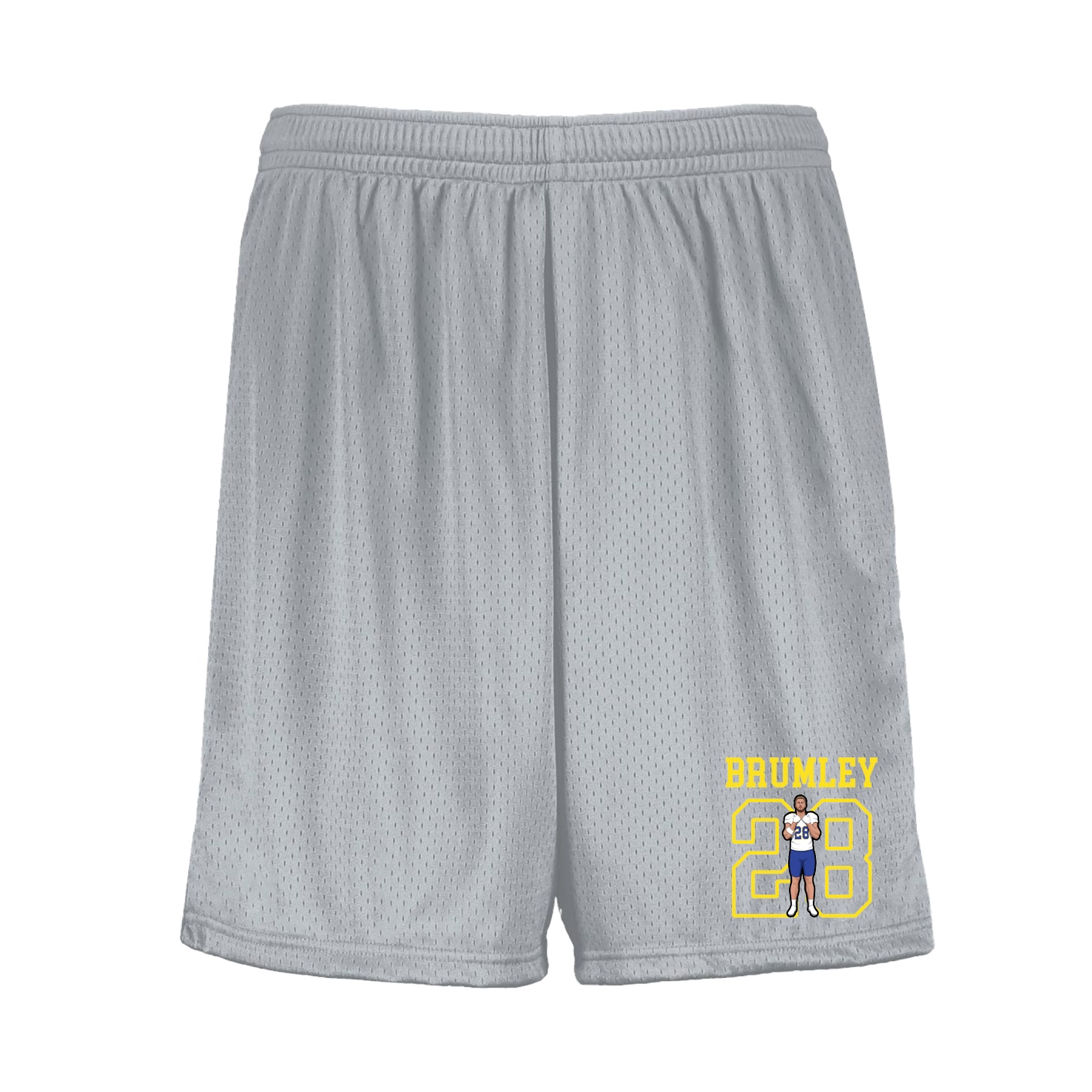Shorts — Shirsey in Silver