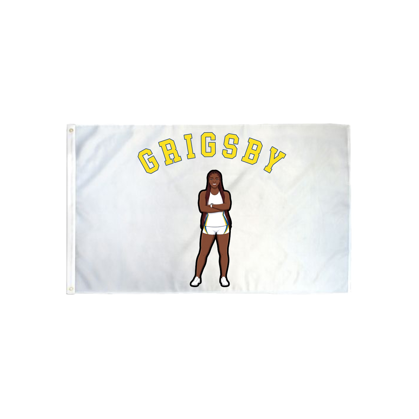 3x5 Flag — Shirsey Arch in Classic