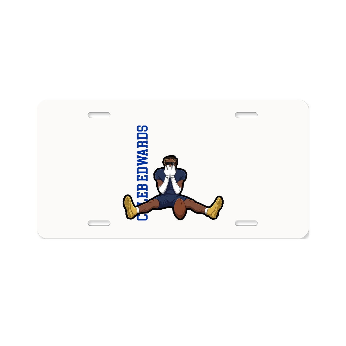 License Plate