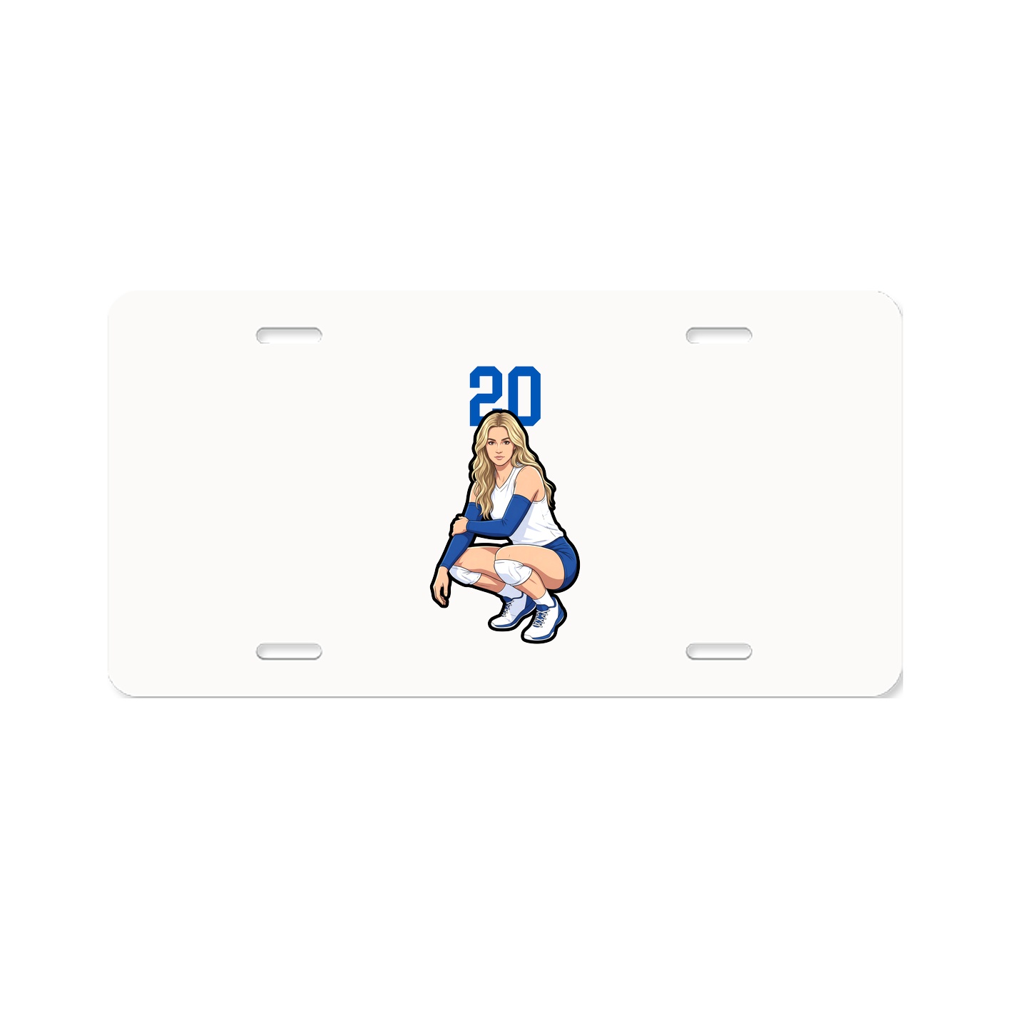 Aluminum License Plate
