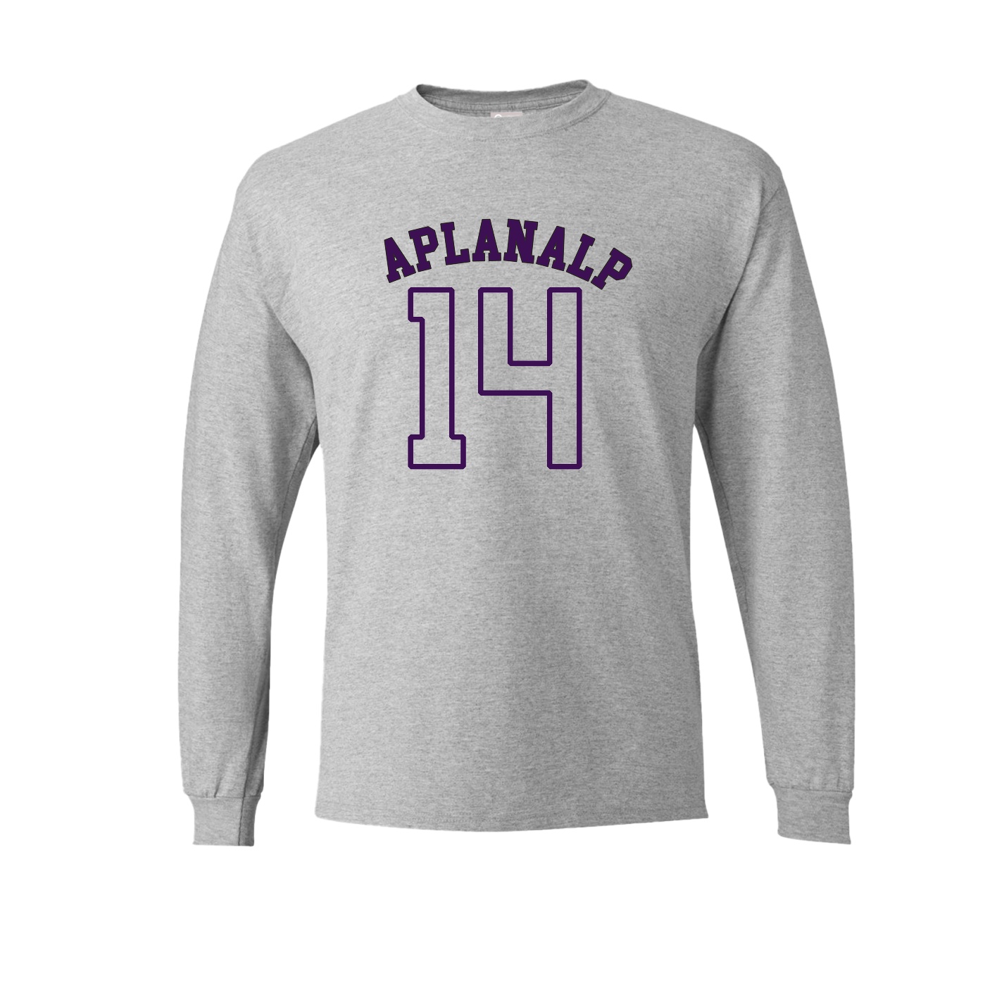 Long Sleeve Tee — Shirsey Arch in Grey