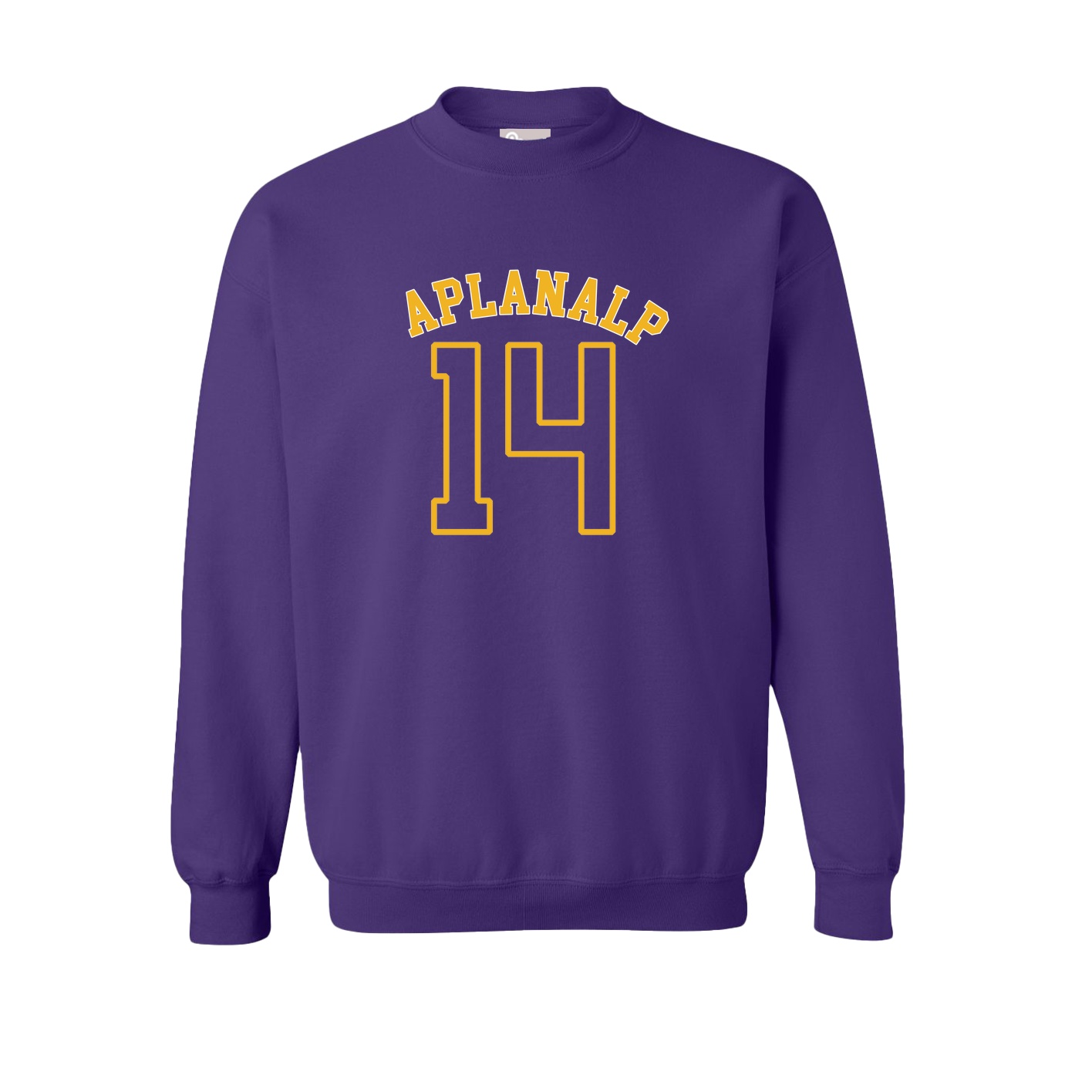 Fleece Crew — Shirsey Arch in Purple