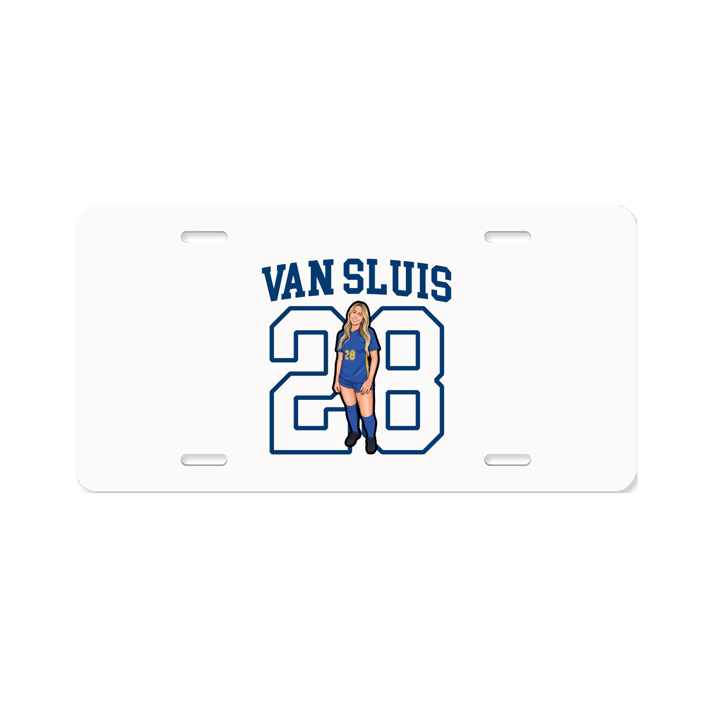 License Plate
