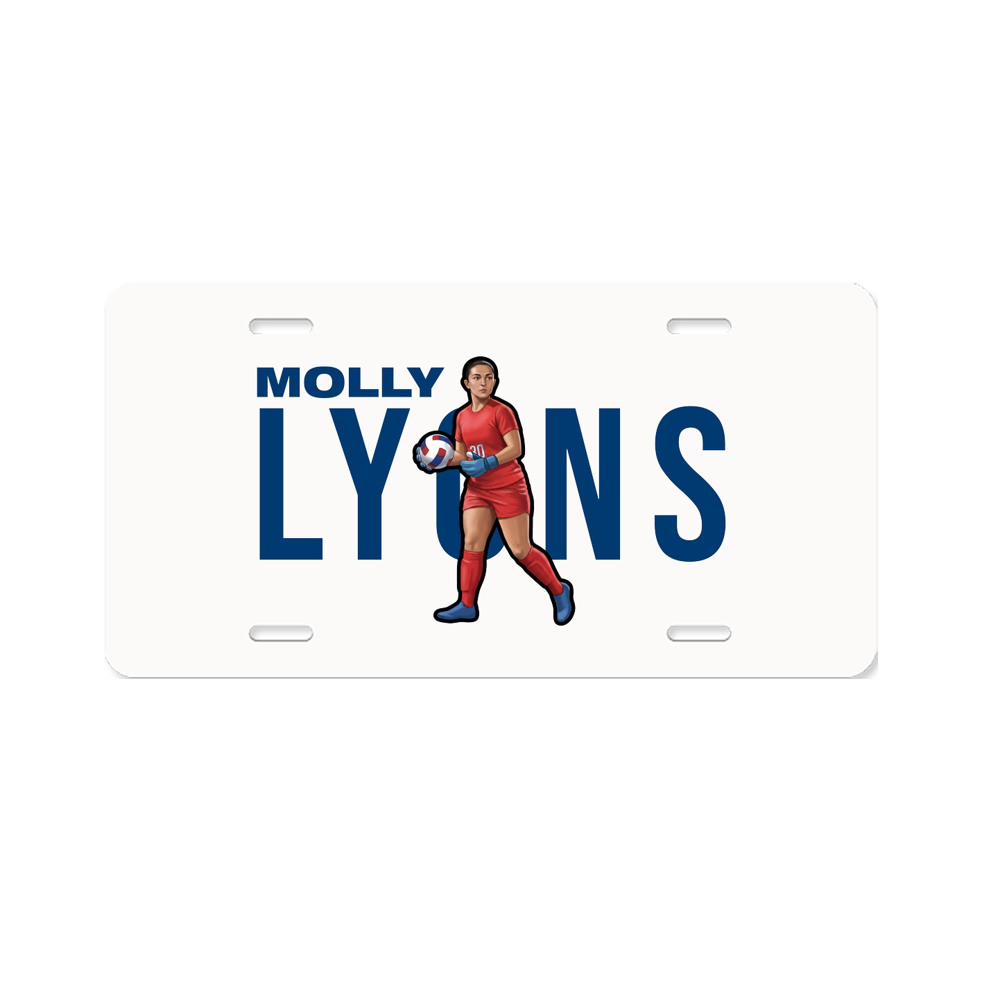License Plate