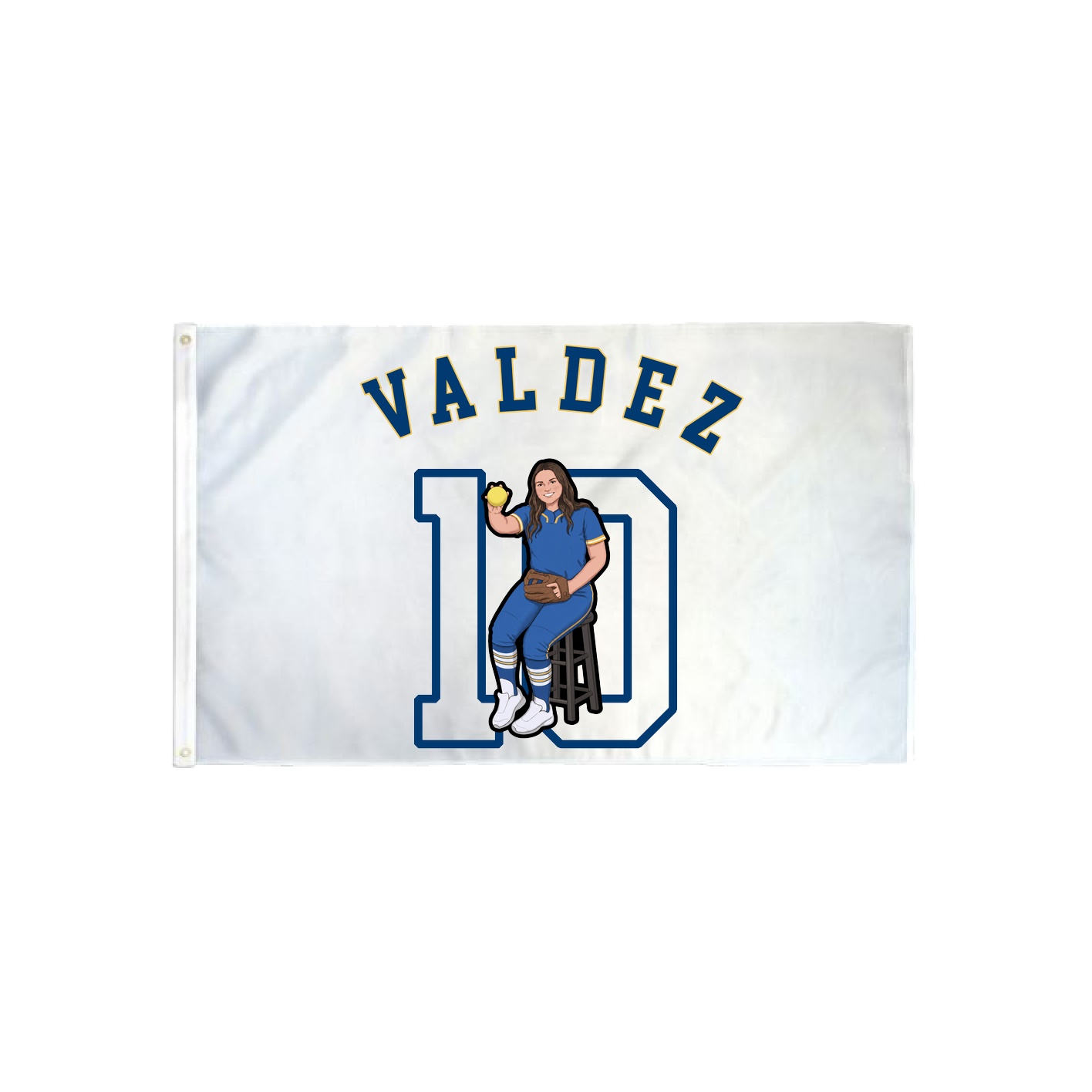 3x5 Flag — Shirsey Arch in Classic