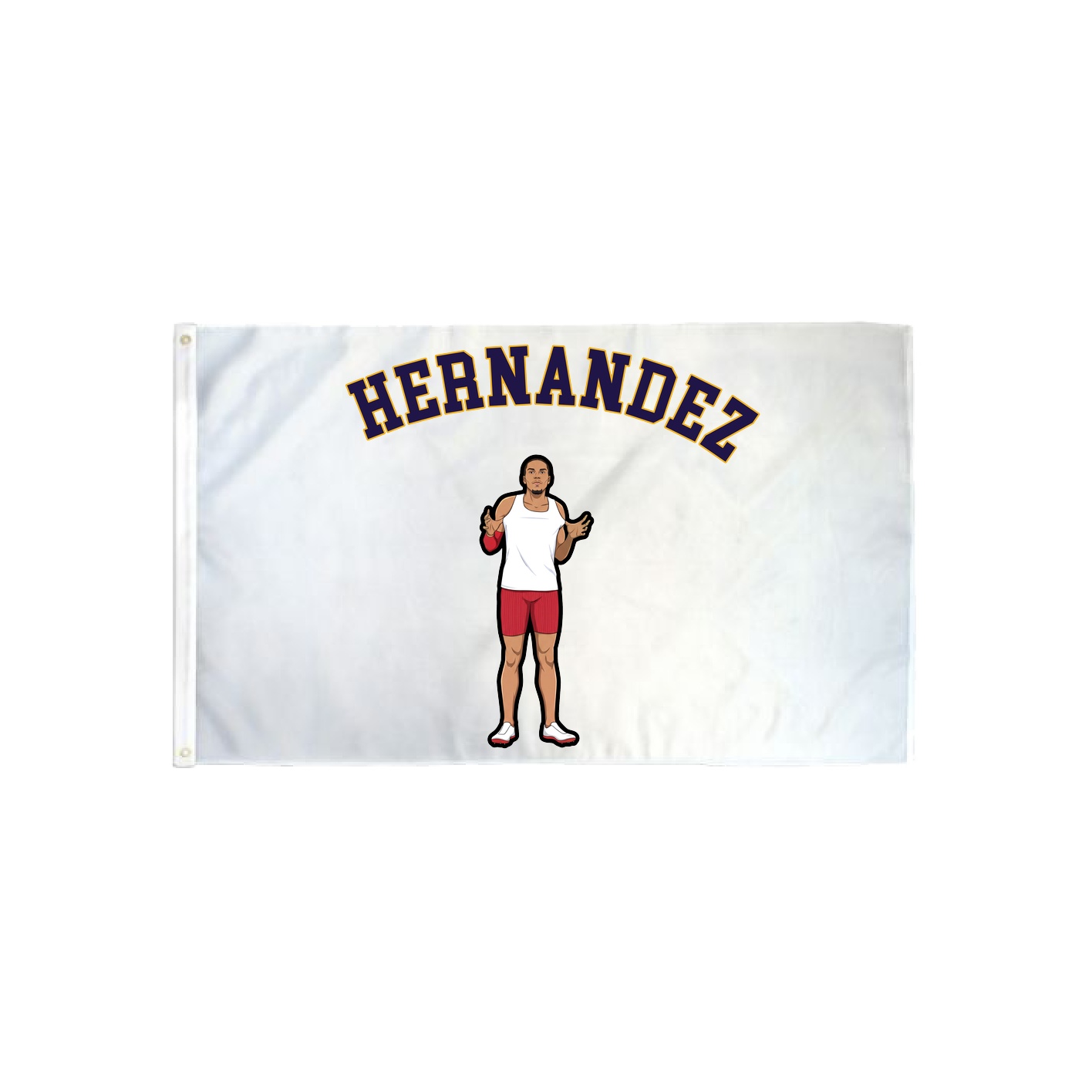 3x5 Flag — Shirsey Arch in Classic