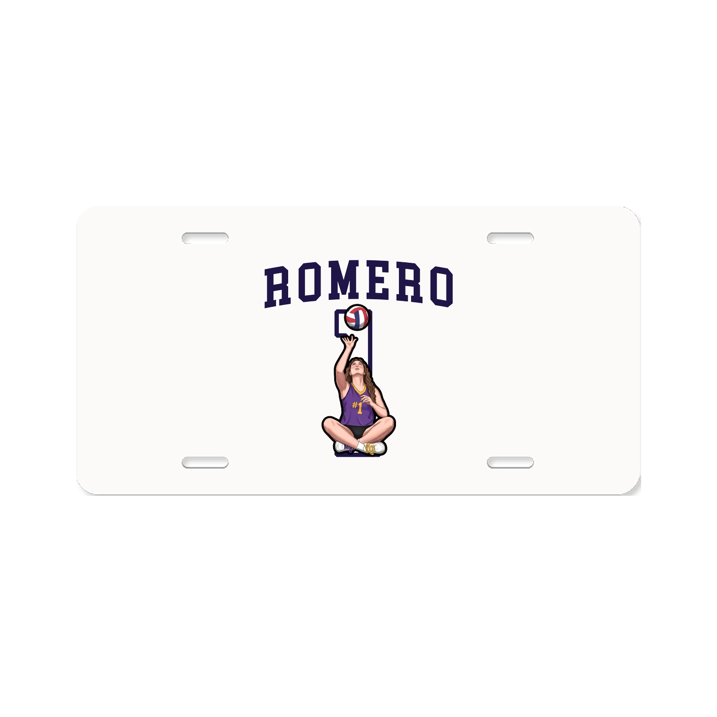 Aluminum License Plate