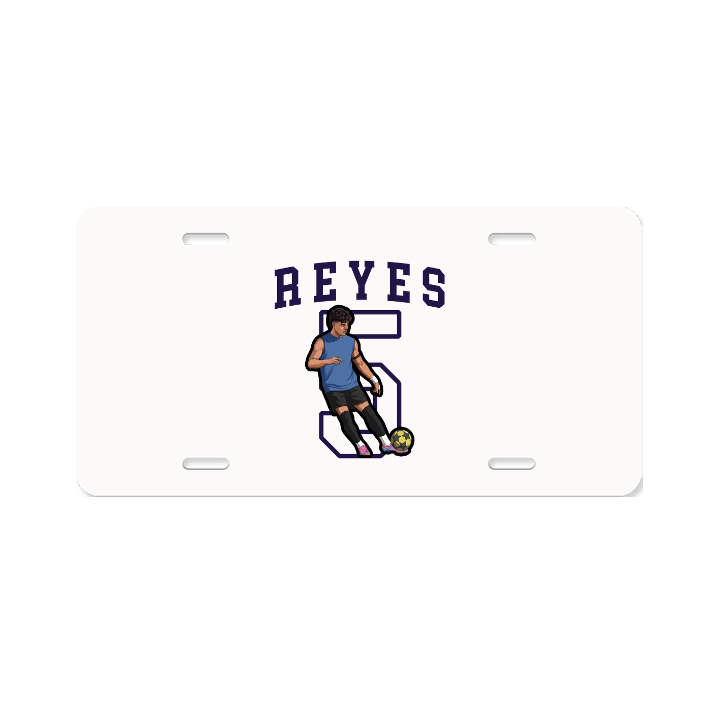 Aluminum License Plate
