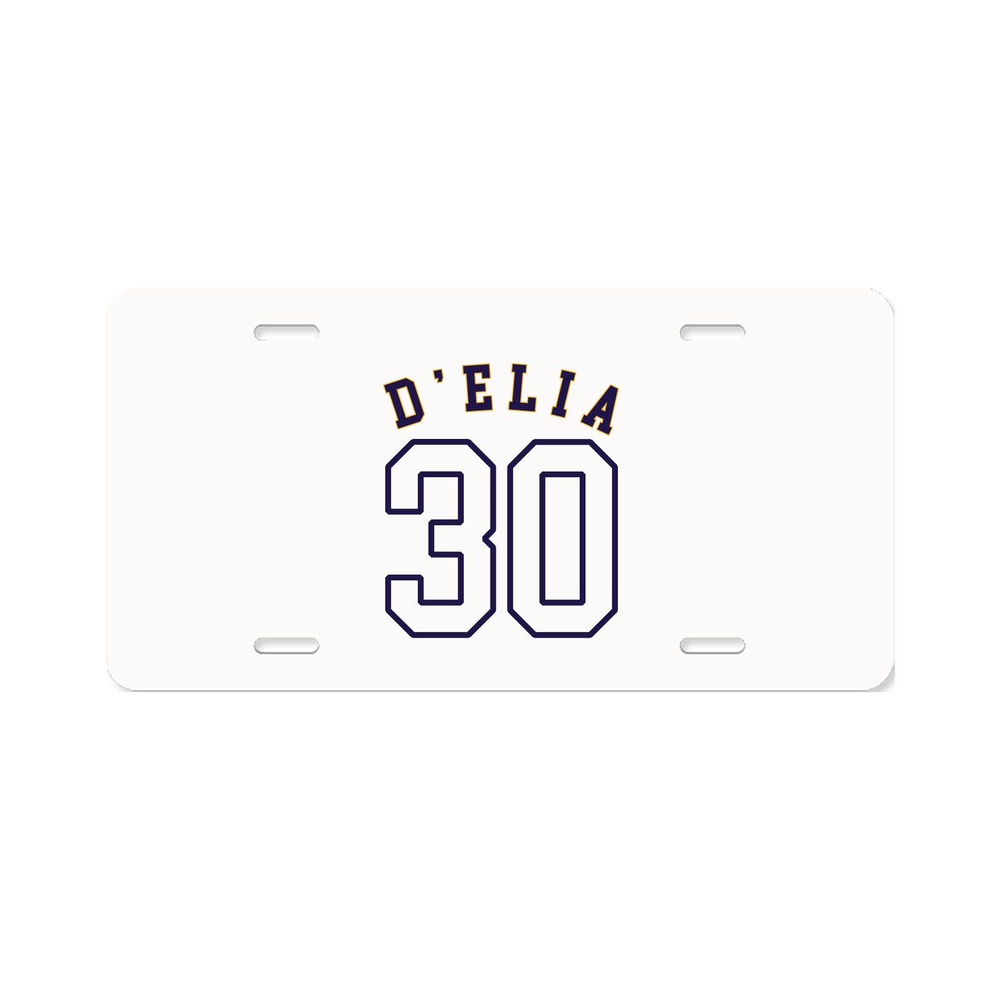 License Plate