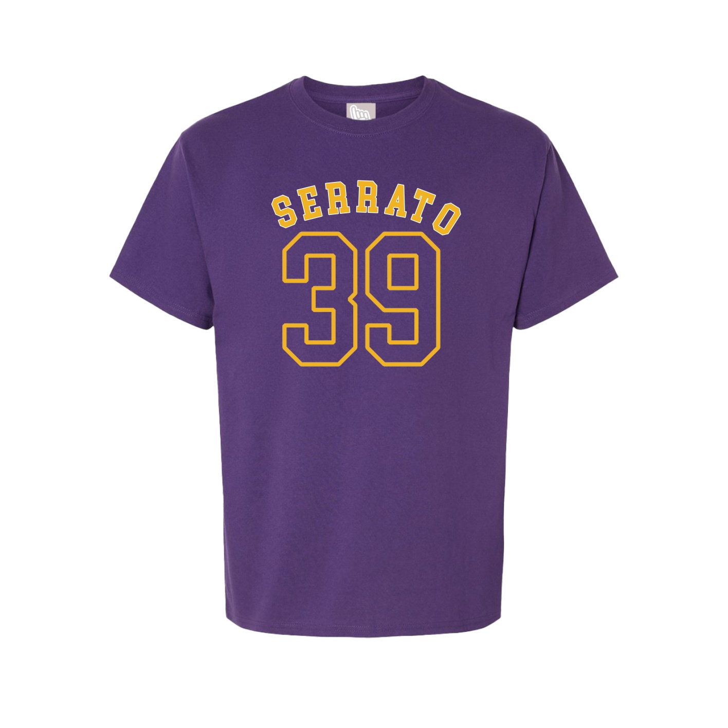 Youth Tee — Shirsey Arch in Purple