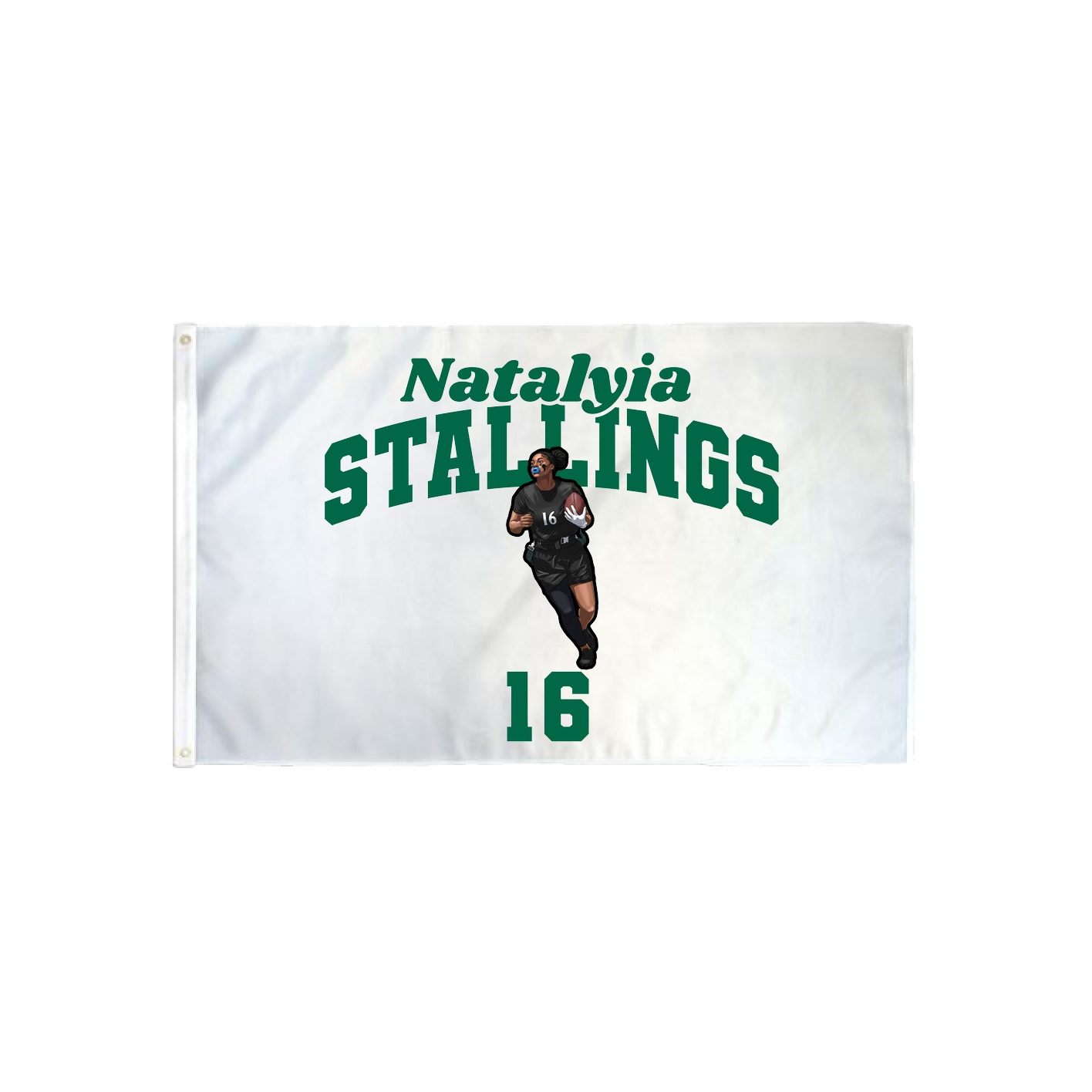 3x5 Flag — Signature Arch in Classic