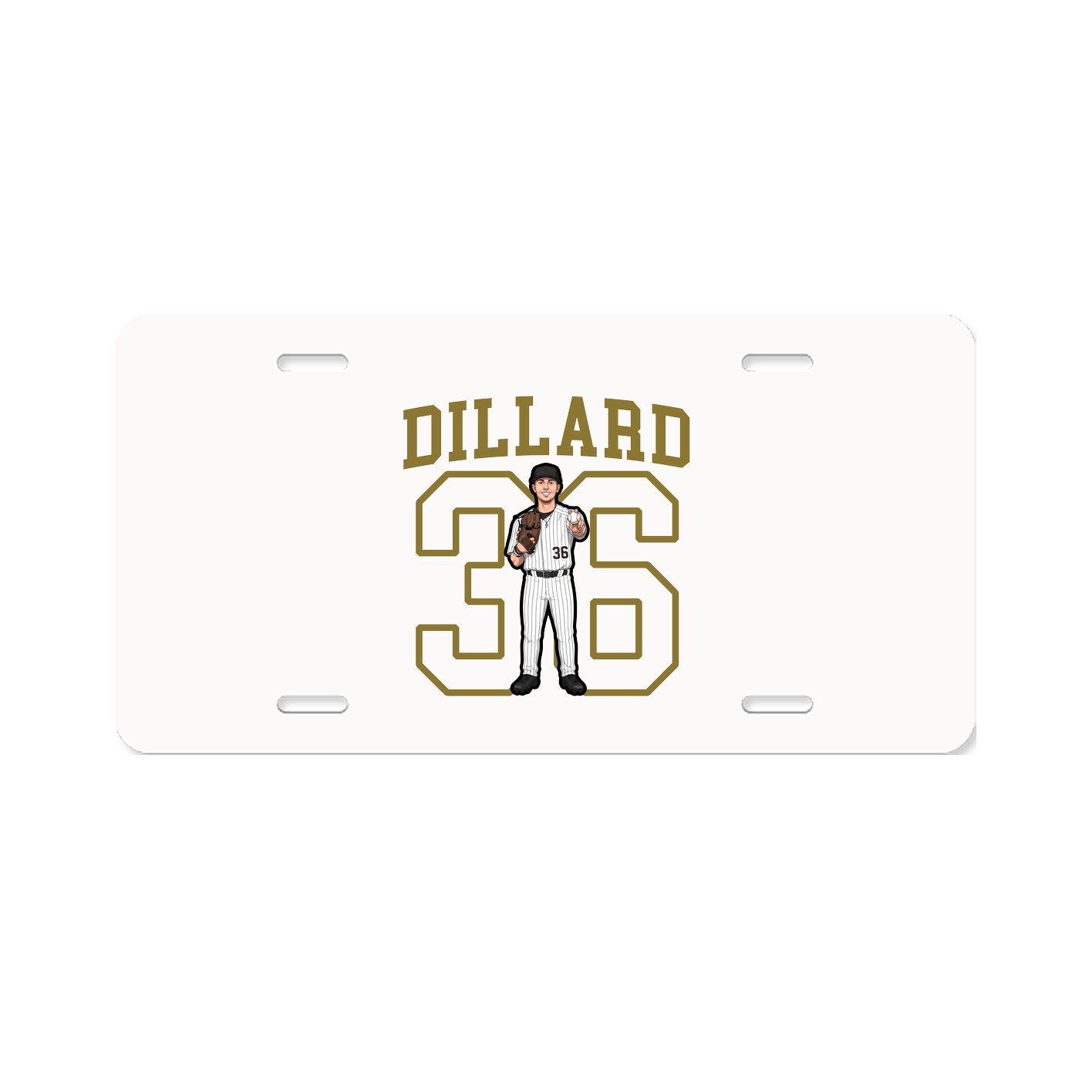 Aluminum License Plate