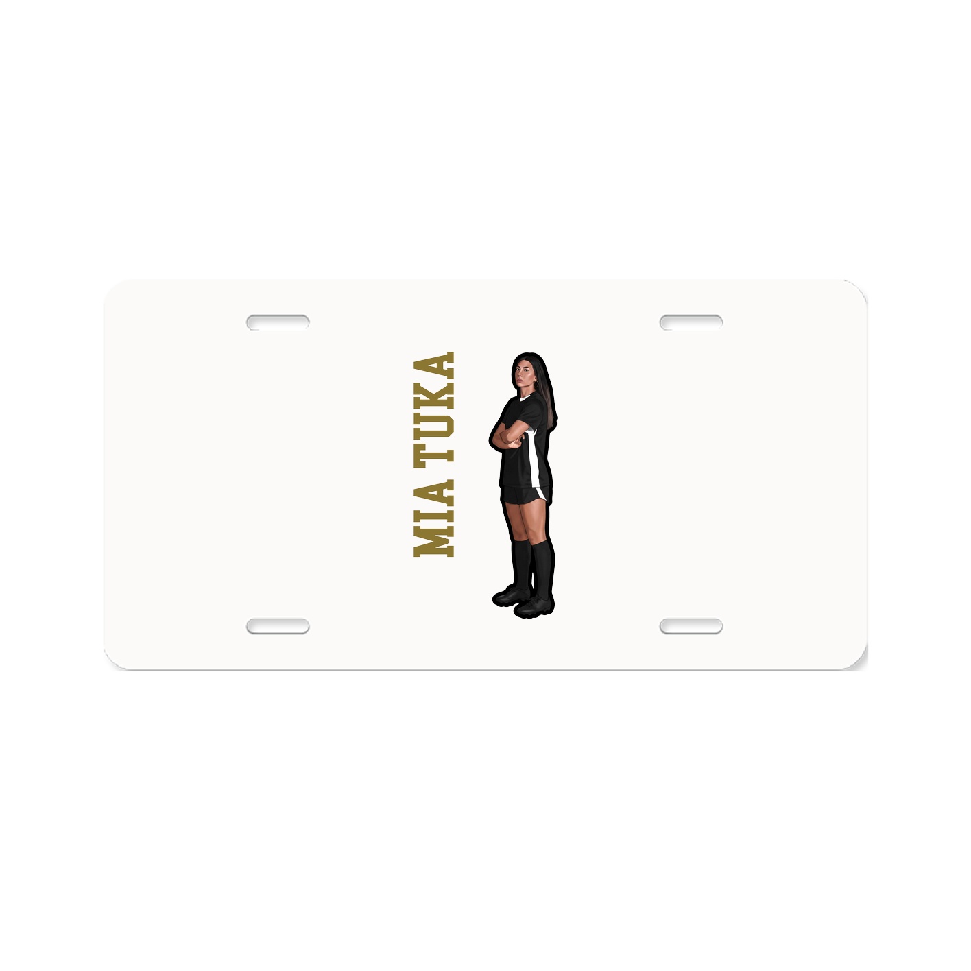 Aluminum License Plate