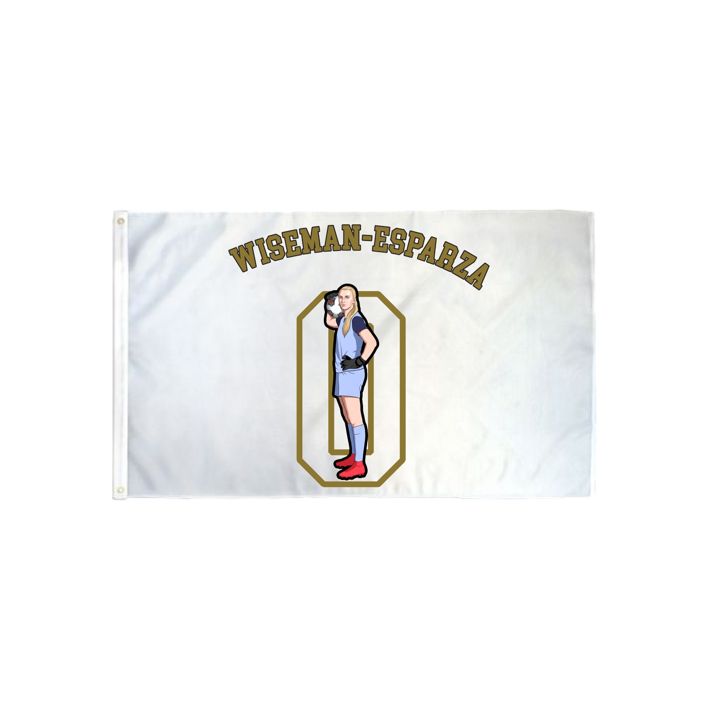 3x5 Flag — Shirsey Arch in Classic