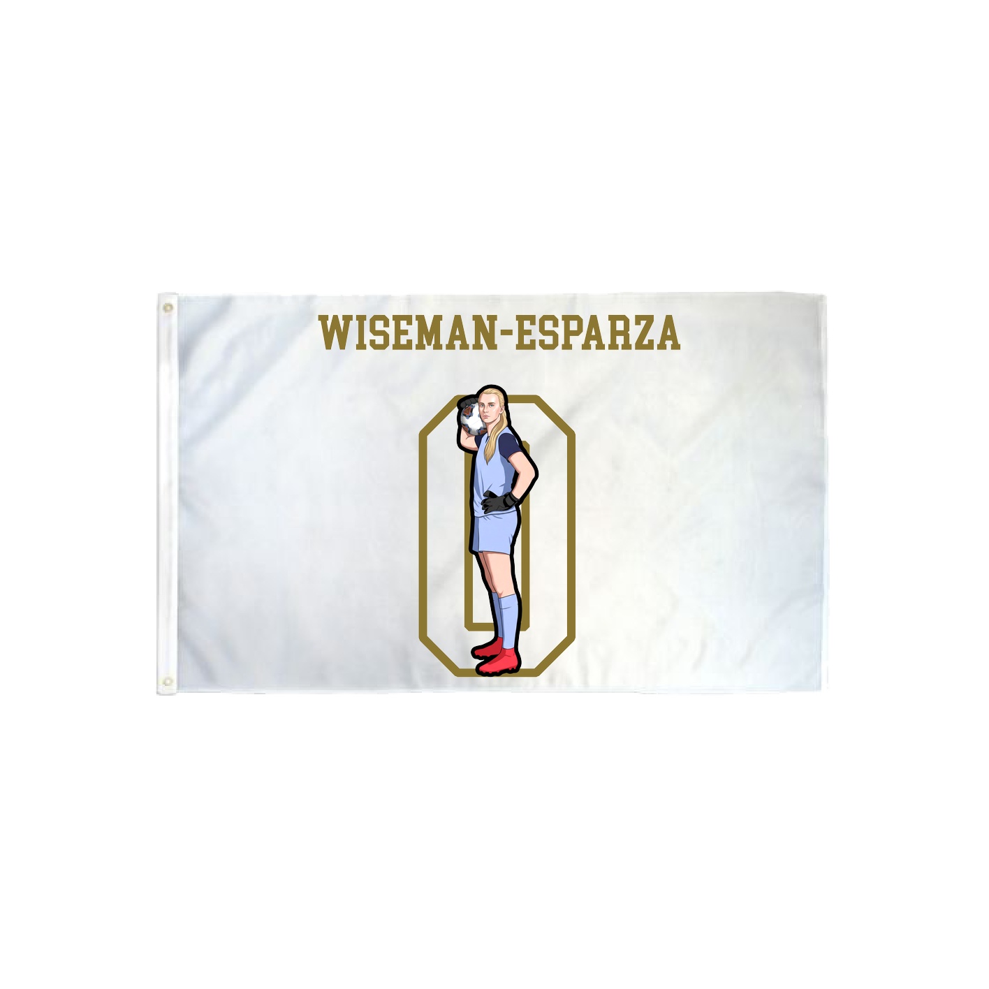 3x5 Flag — Shirsey in Classic