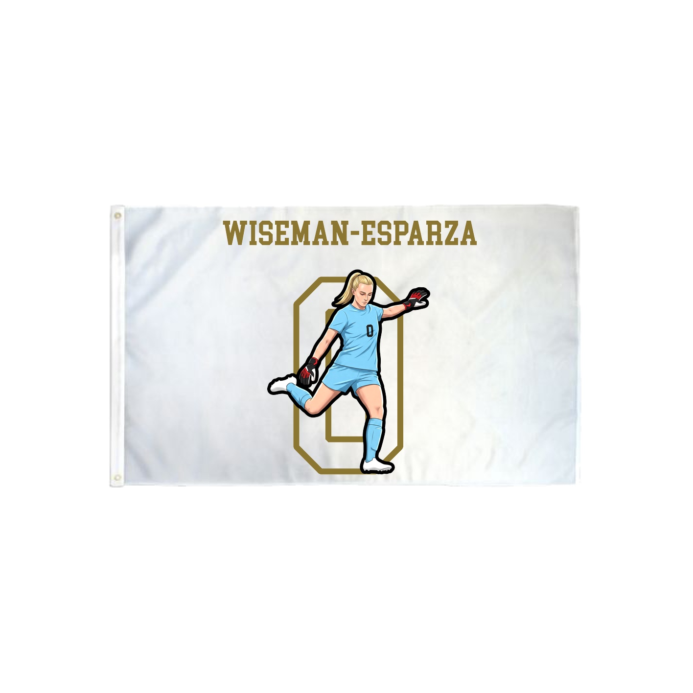 3x5 Flag — Shirsey in Classic