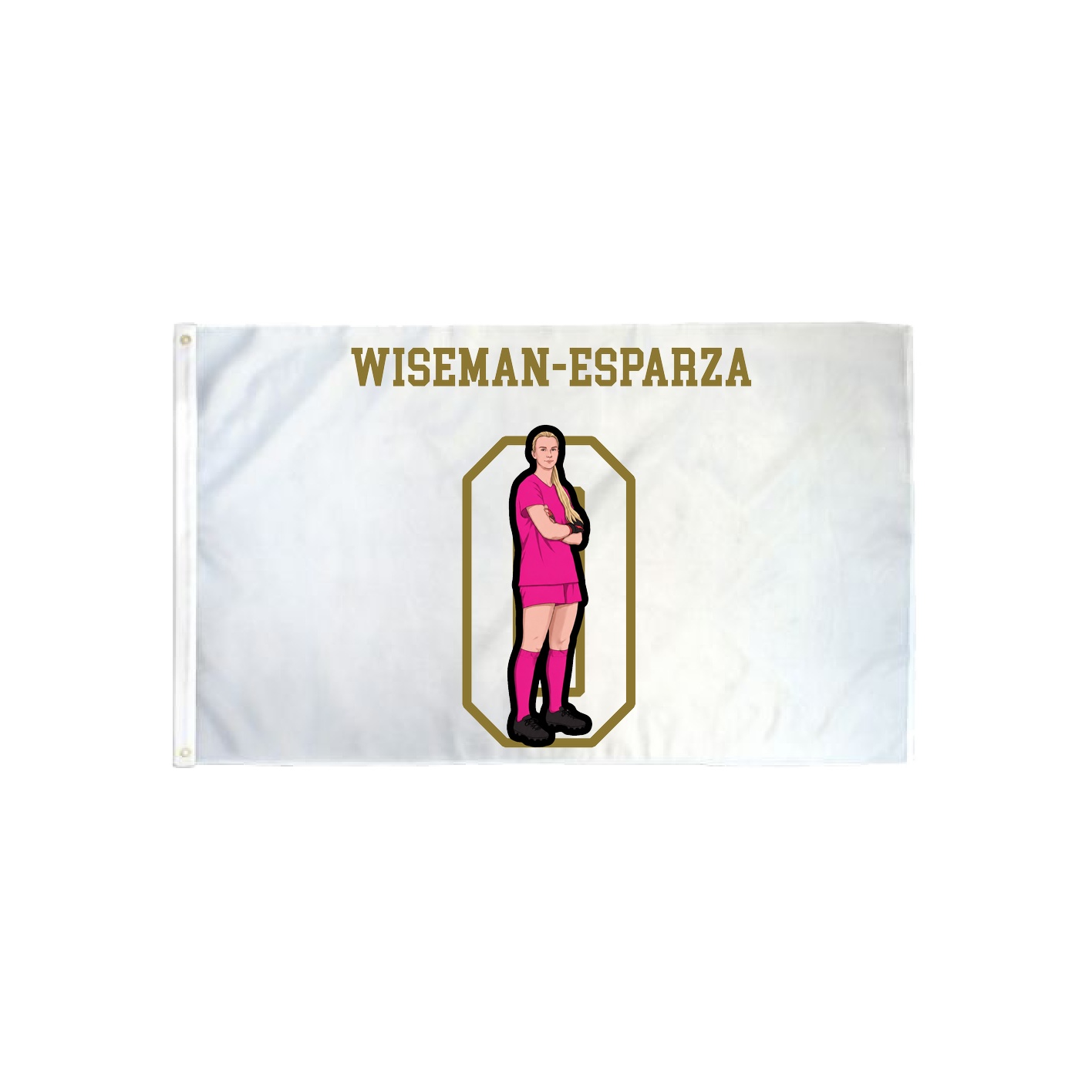 3x5 Flag — Shirsey in Classic