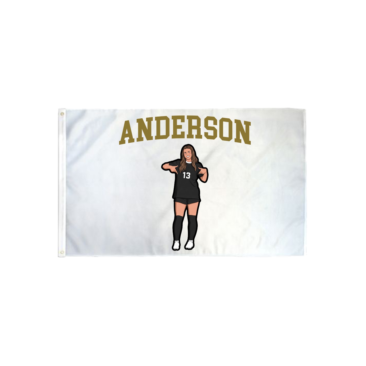 3x5 Flag — Shirsey in Classic