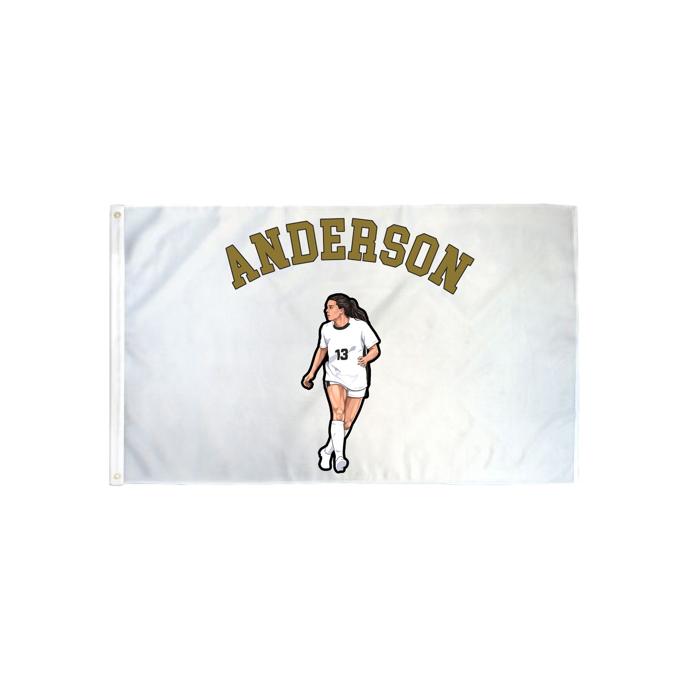 3x5 Flag — Shirsey Arch in Classic