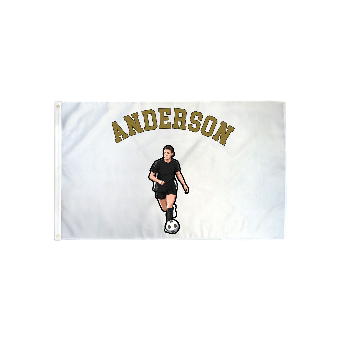 3x5 Flag — Shirsey Arch in Classic