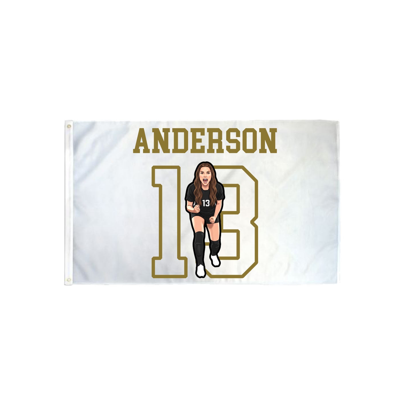 3x5 Flag — Shirsey in Classic