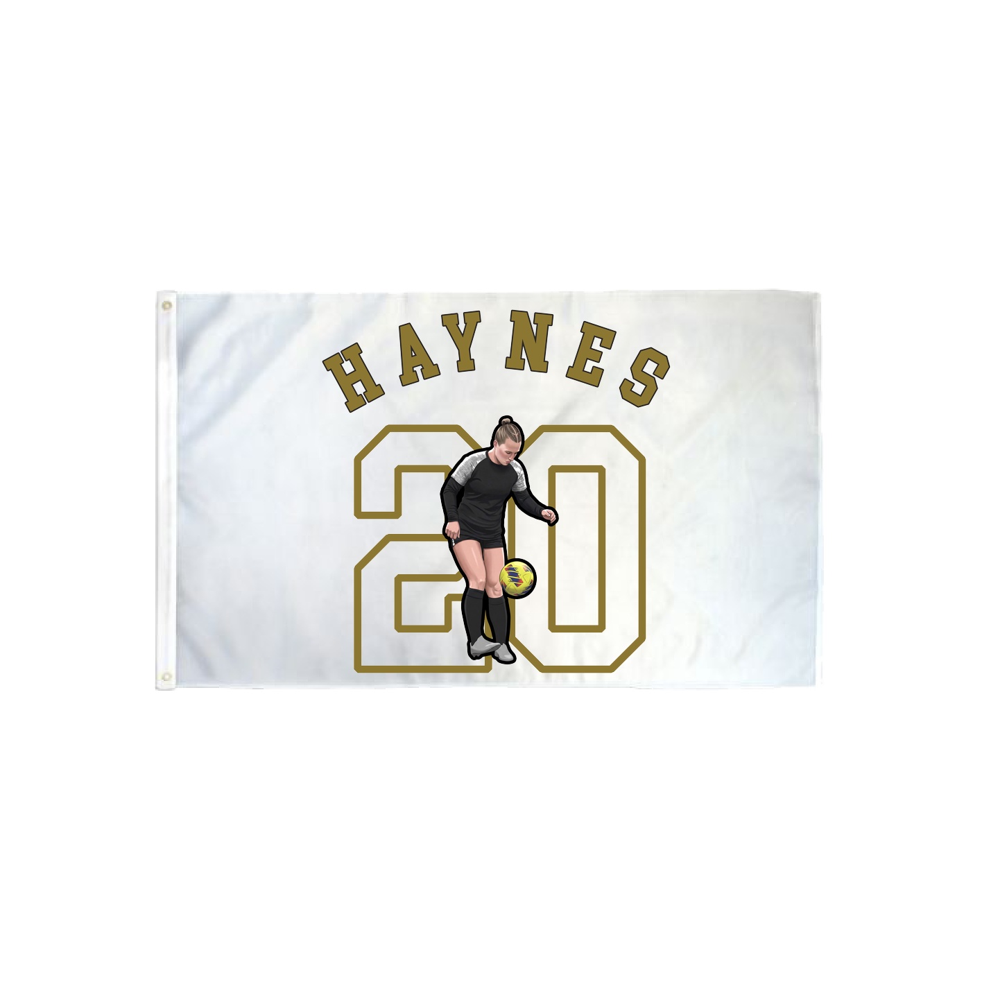 3x5 Flag — Shirsey Arch in Classic
