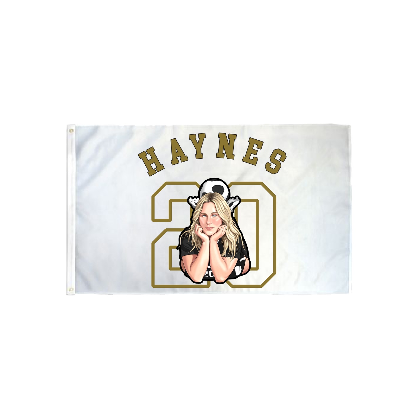 3x5 Flag — Shirsey Arch in Classic