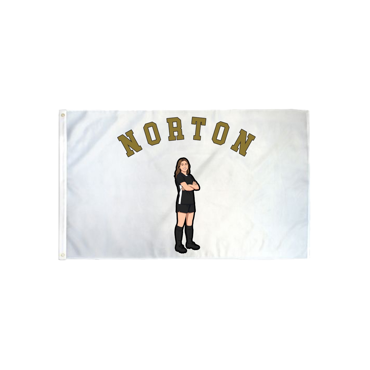 3x5 Flag — Shirsey Arch in Classic