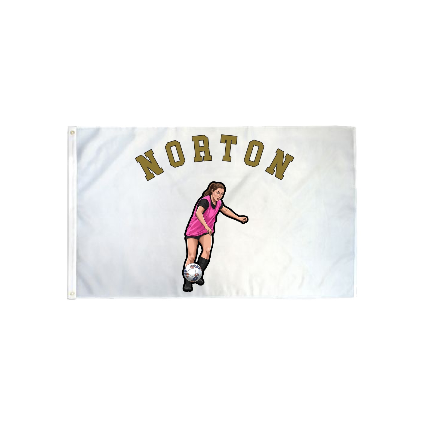 3x5 Flag — Shirsey Arch in Classic