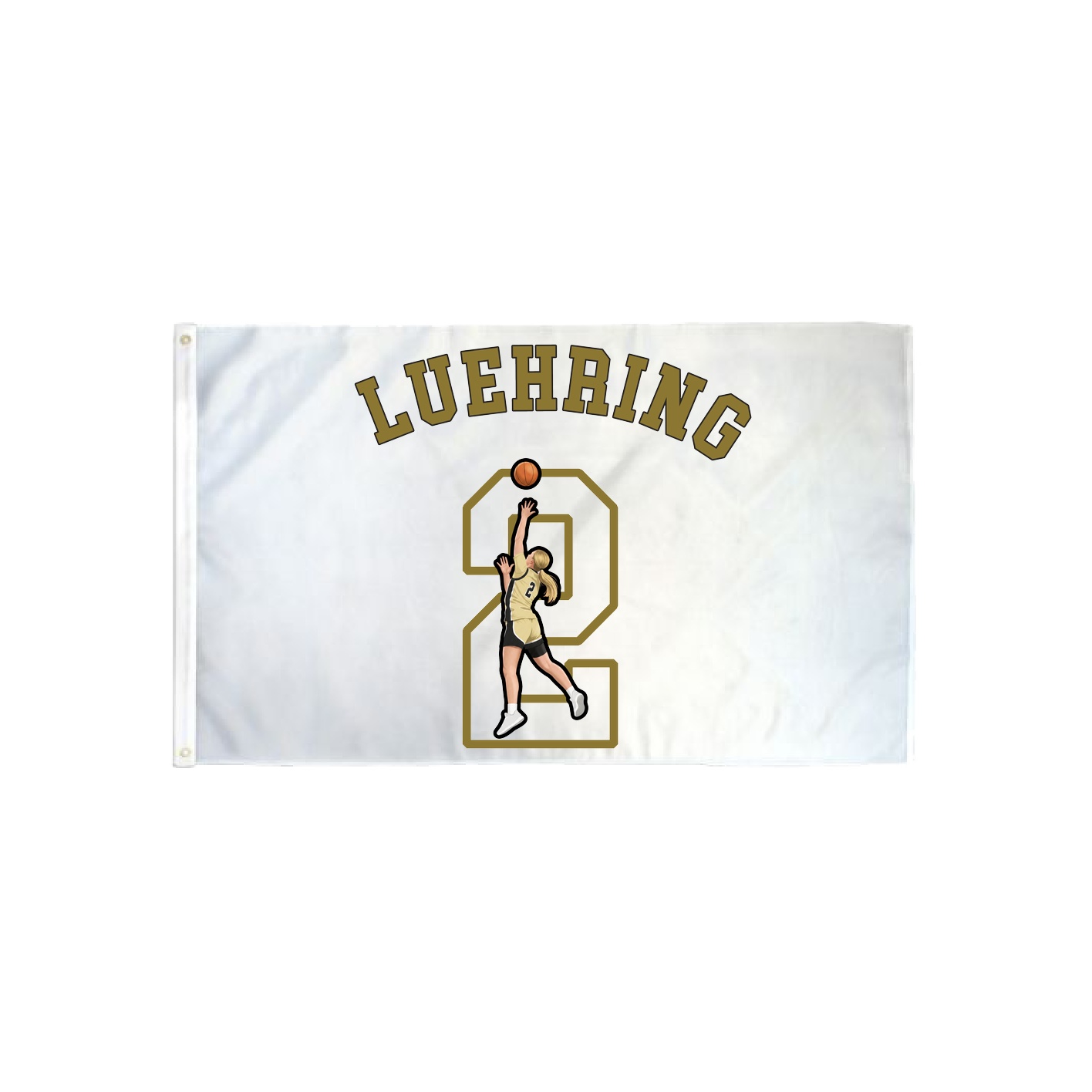 3x5 Flag — Shirsey Arch in Classic