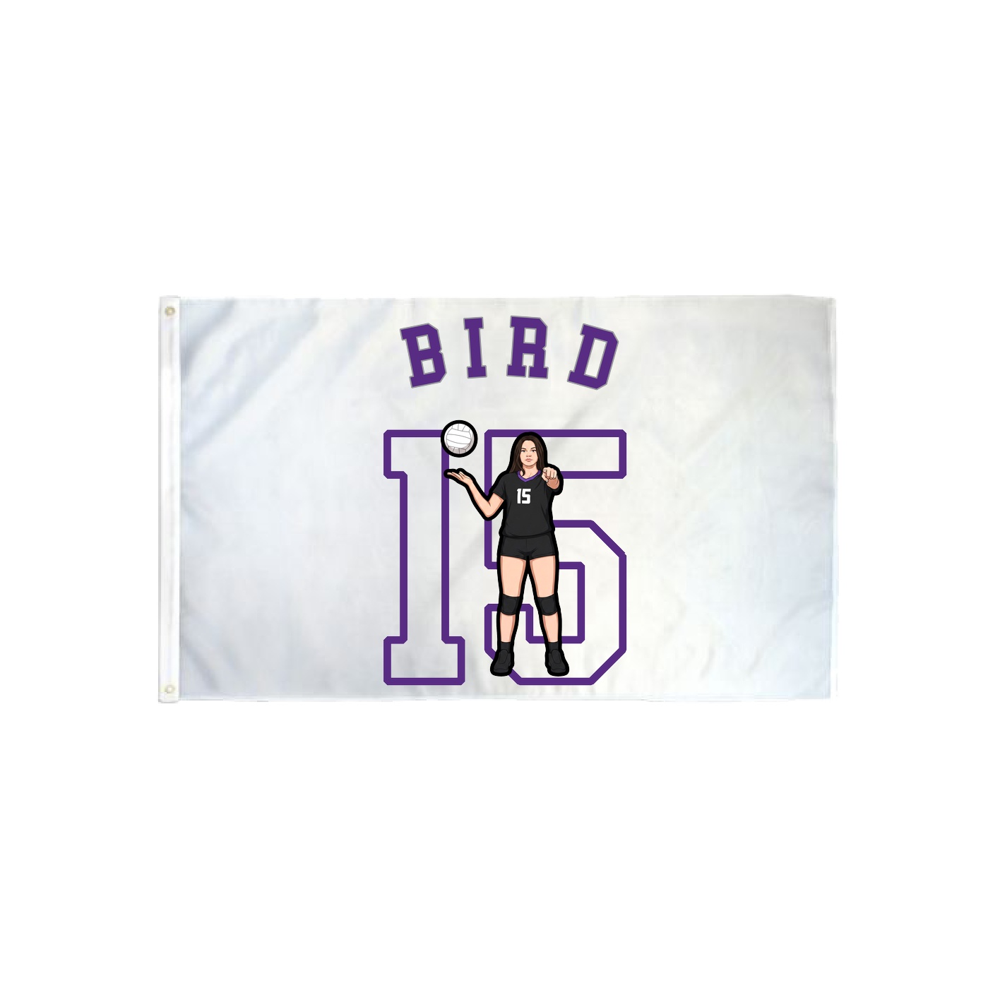 3x5 Flag — Shirsey Arch in Classic