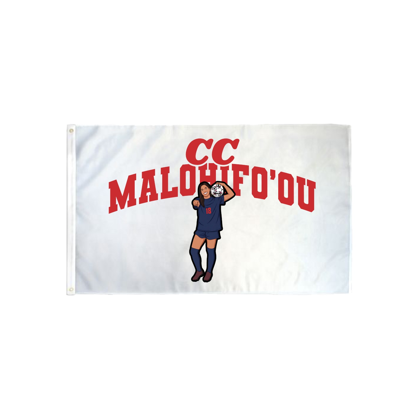 3x5 Flag — Signature Arch in Classic