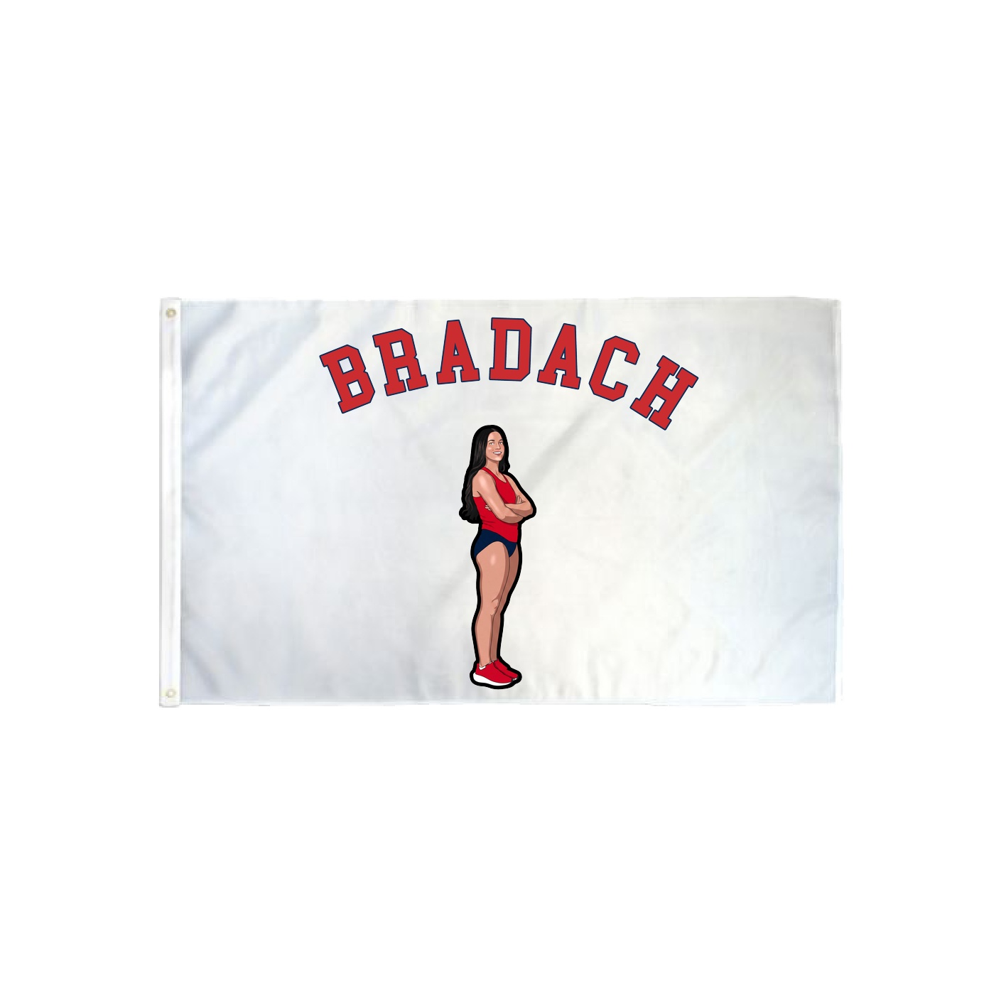 3x5 Flag — Shirsey Arch in Classic