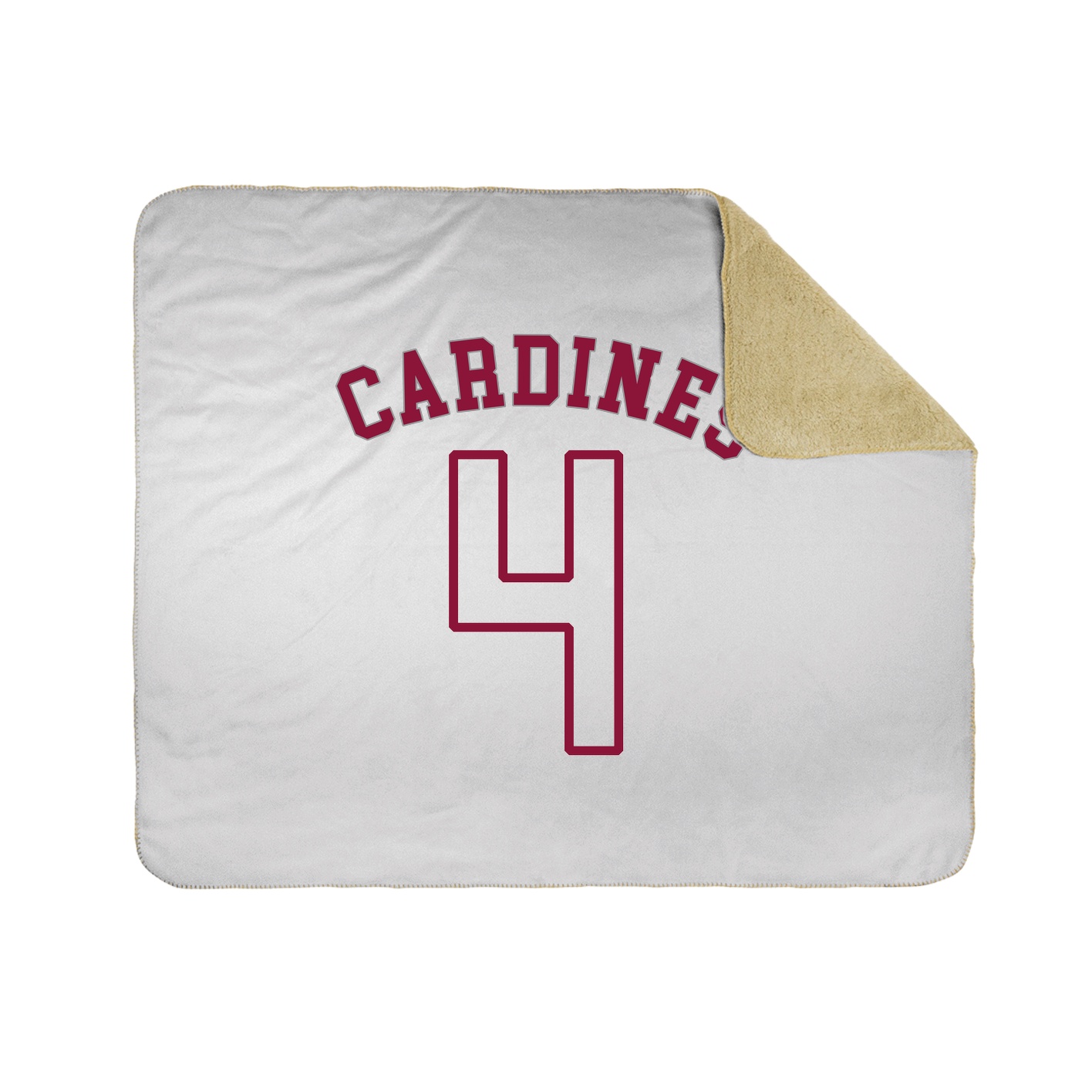 Throw Blanket — Shirsey Arch in White