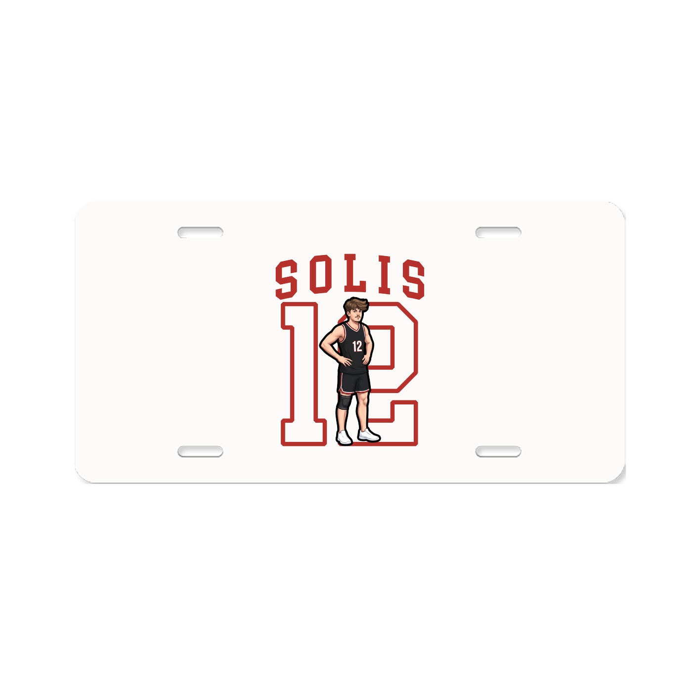Aluminum License Plate